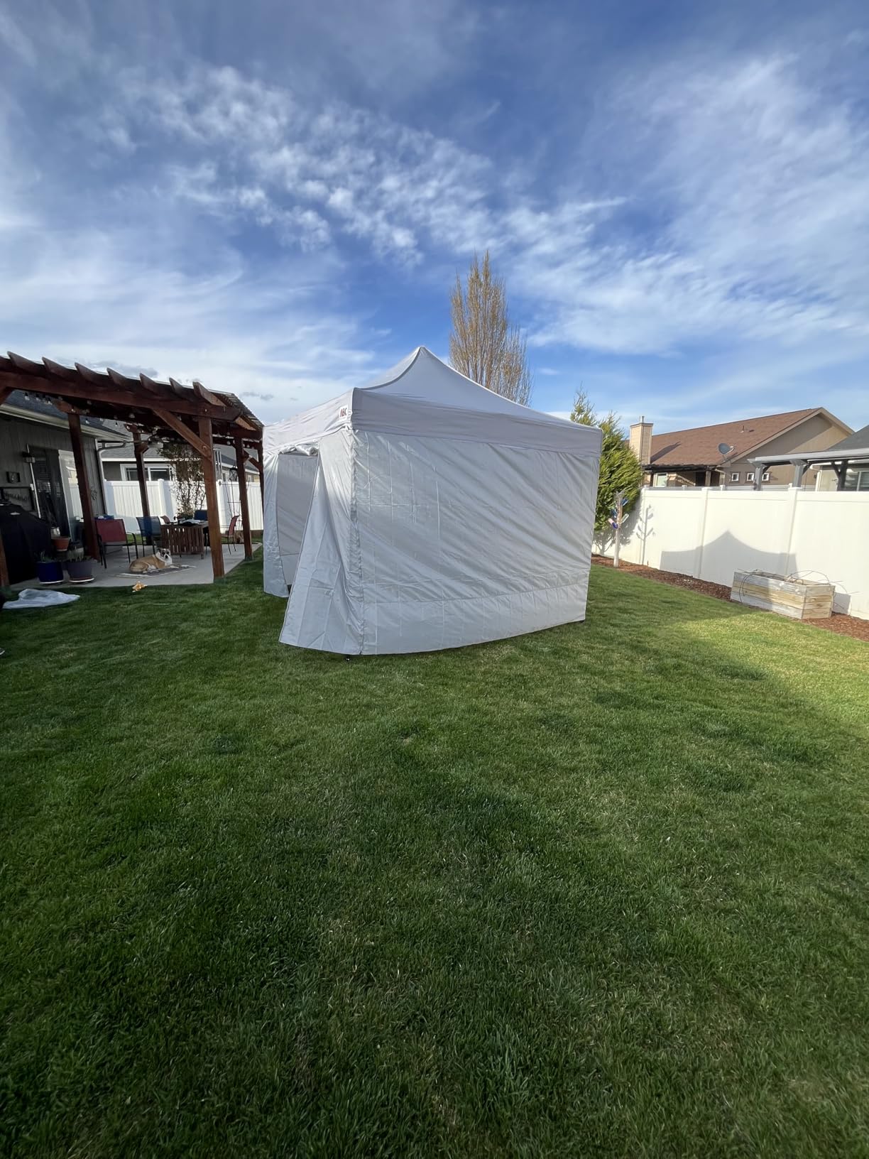 ABCCANOPY Heavy Duty Easy Pop up Canopy Tent with Sidewalls 10x10, Royal Blue customer photo 2