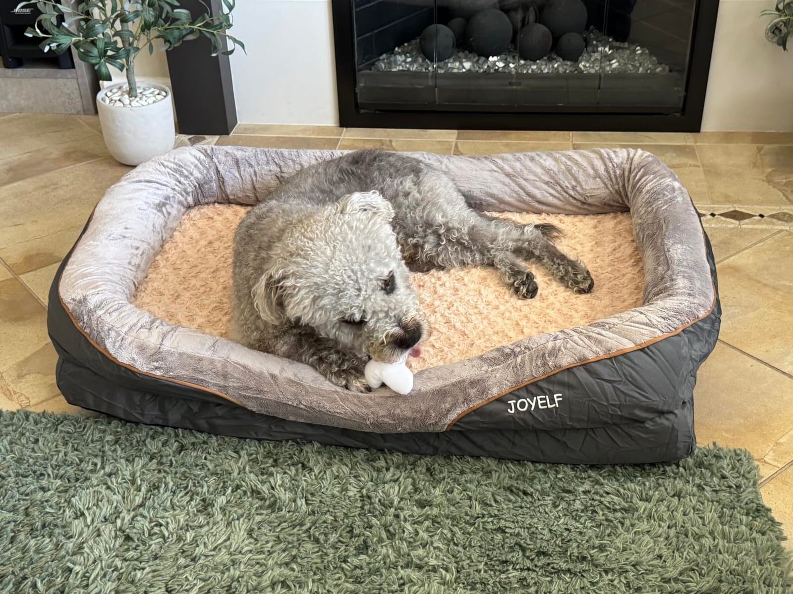 JOYELF Large Memory Foam Dog Bed, Orthopedic Dog Bed & Sofa with Removable Washable Cover and Squeaker Toy as Gift customer photo 1