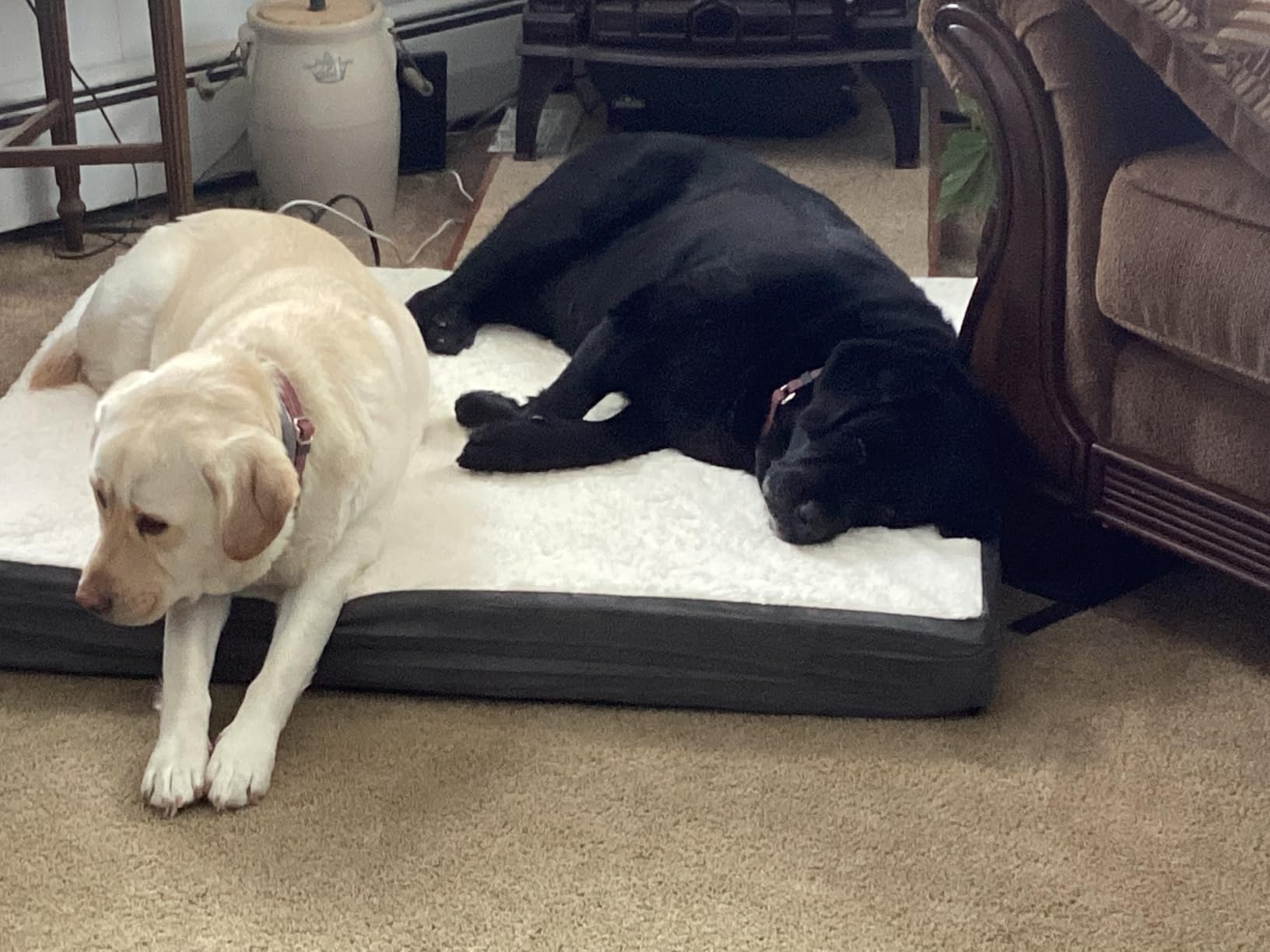 Orthopedic Dog Bed - 2-Layer 44x35-Inch Memory Foam Pet Mattress with Machine-Washable Sherpa Cover for Large Dogs up to 100lbs by PETMAKER (Gray) customer photo 1