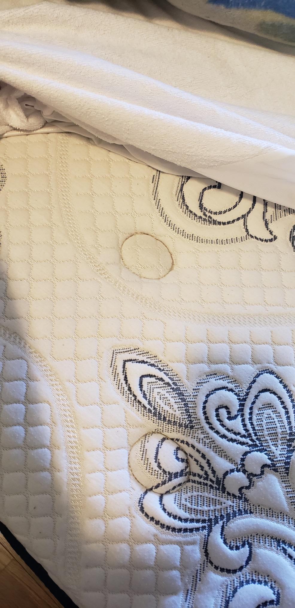 Bedecor Queen Waterproof Mattress Protector,for 9-18 Inch Deep customer photo 1