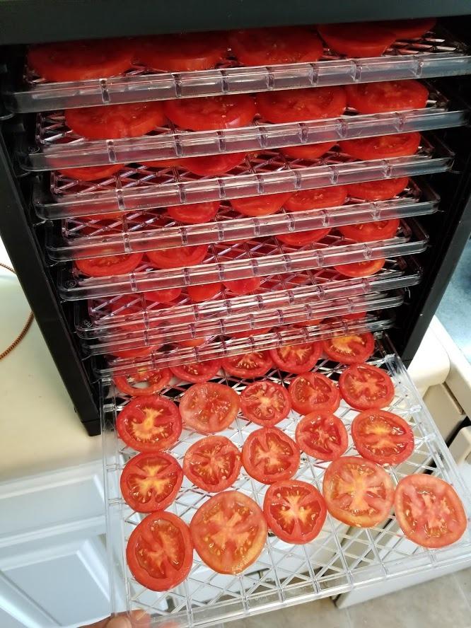 Ivation 9 Tray Digital Food Dehydrator, Adjustable Temp & Timer customer photo 2