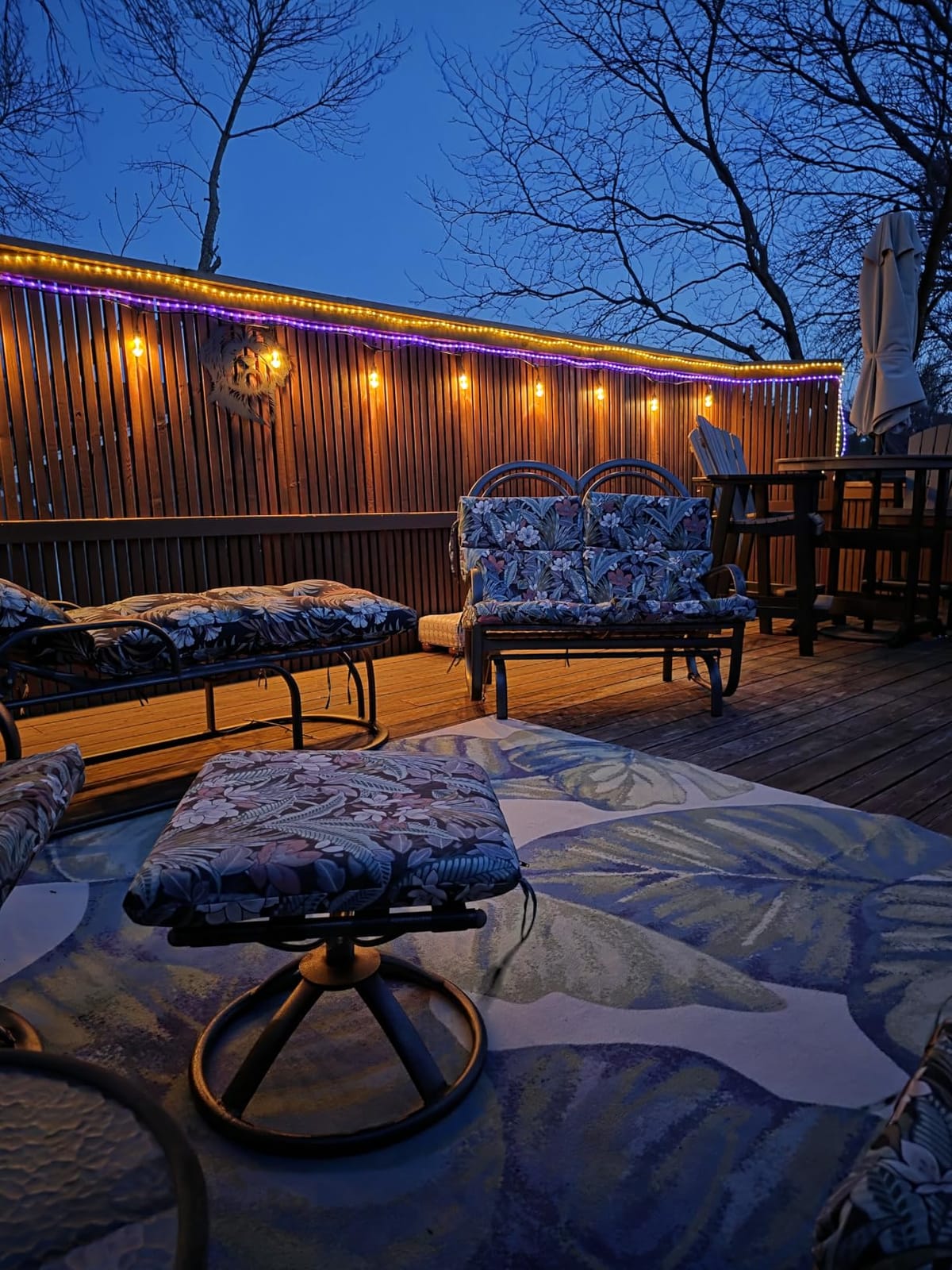 Enbrighten Vintage Outdoor String Lights, 48ft, 24 Bulbs, Remote Control customer photo 2