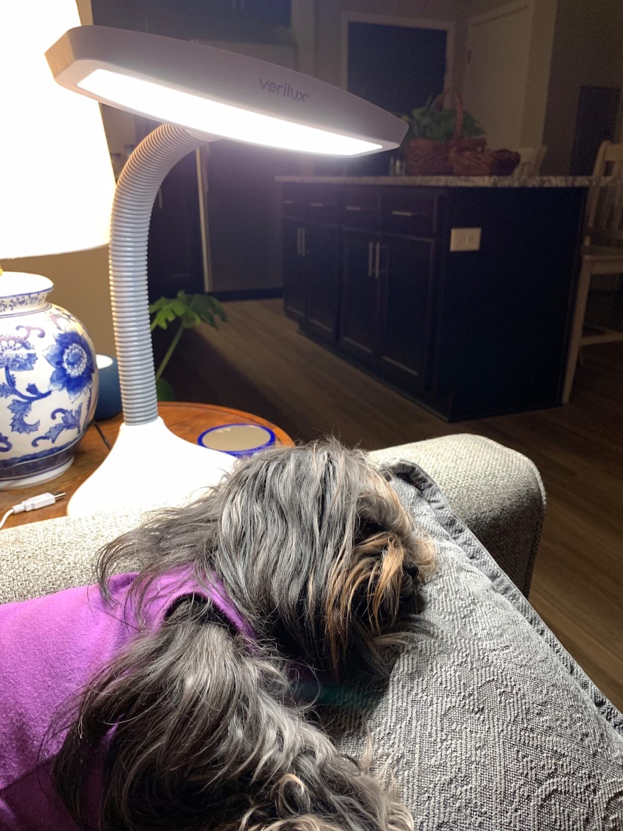 Verilux SmartLight Full Spectrum LED Desk Lamp with Adjustable Brightness, Flexible Gooseneck and Integrated USB Charging Port - Reduces Eye Strain and Fatigue - Ideal for Readers, Artists, Crafters customer photo 2
