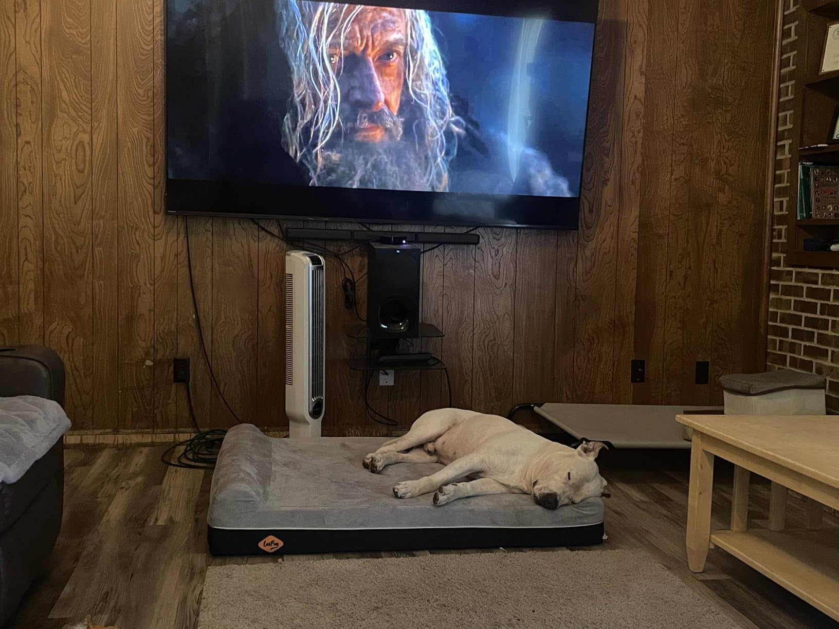 Laifug Orthopedic Dog Bed, Slate Grey 50''x36''x10'', Memory Foam customer photo 1