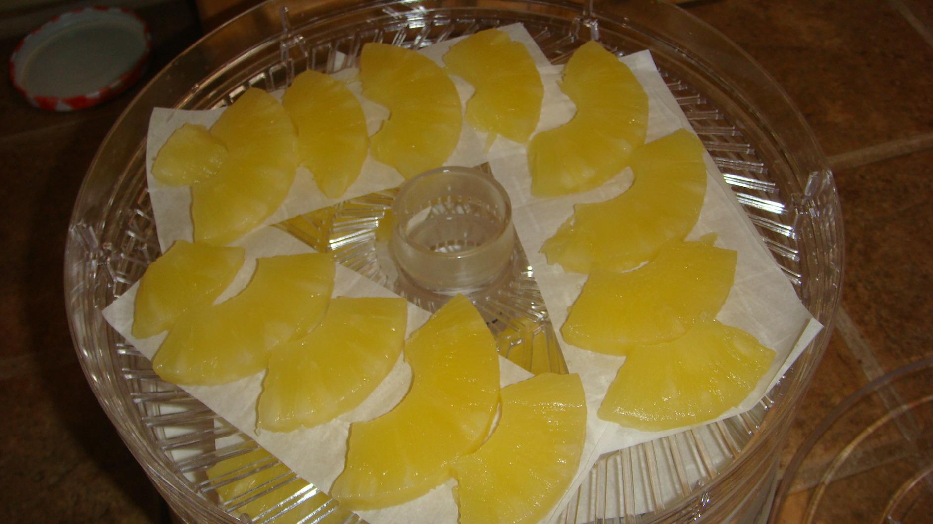 Commercial Chef Food Dehydrator, Five 9.25” BPA-Free Trays, CCD100W6, White customer photo 1
