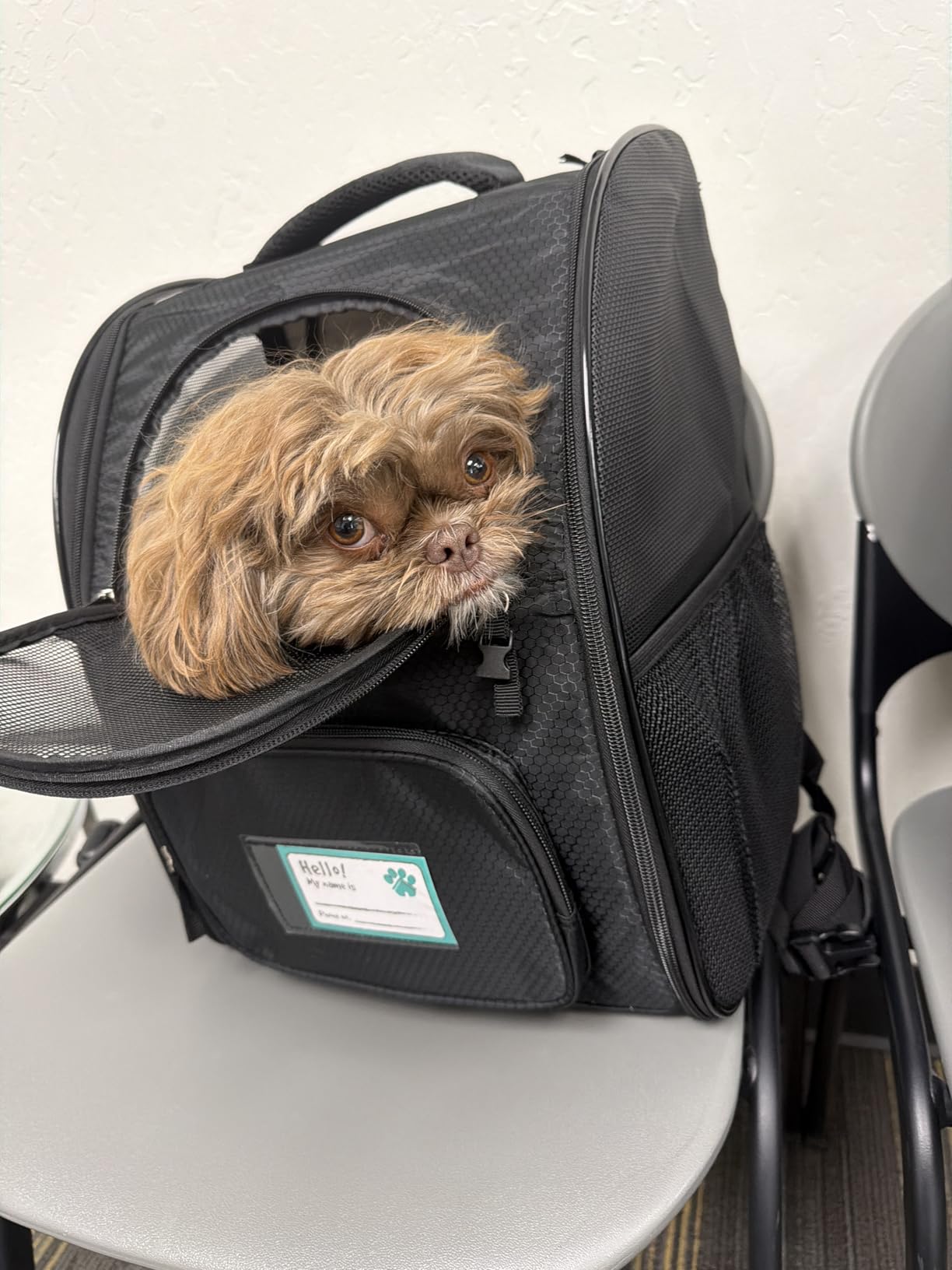 PetAmi Dog Backpack Carrier Airline Approved Cat Pet Puppy Bag, Black customer photo 2