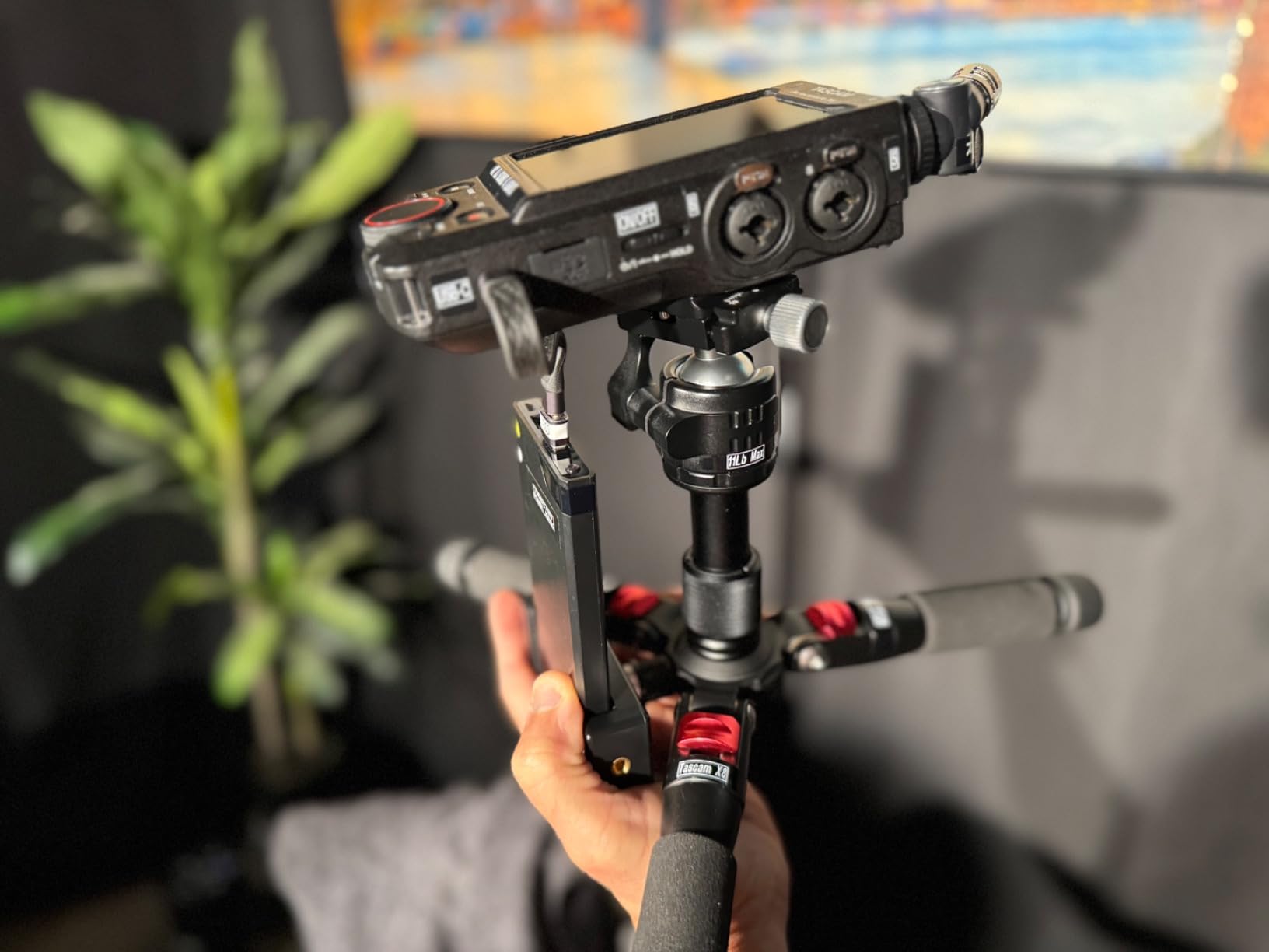 NEEWER Portable Travel Mini Tabletop Tripod, Aluminum Alloy 20''/ 50cm Desktop Desk Tripod with 360 Degree Ball Head, 1/4