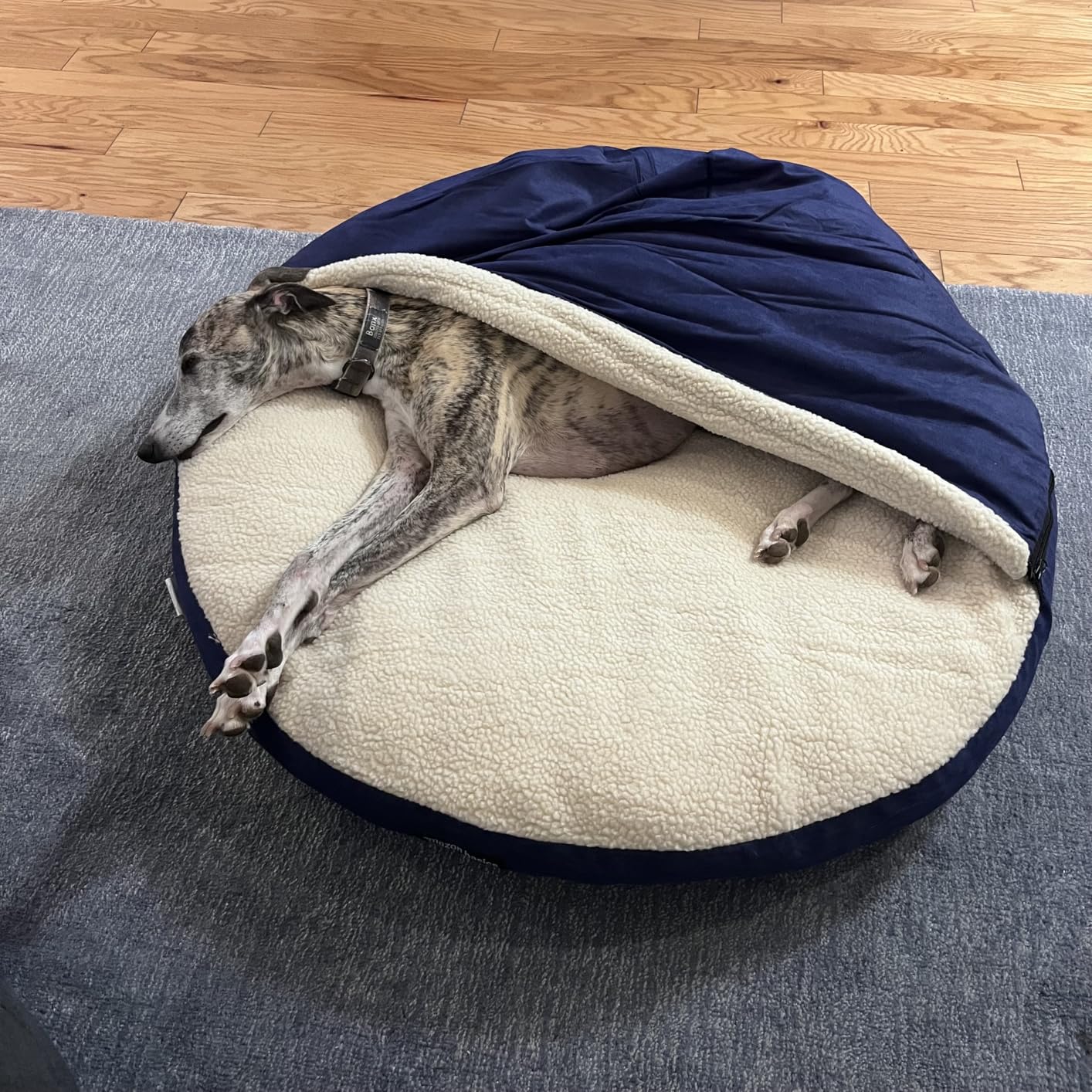 AmazonBasics Anti-Anxiety Calming Burrow Pet Cave Bed for Small and Medium Dogs, with Removable Nesting Cave Cover, Fits up to 35lbs Pets, 30 x 30 x 12.5 inches, Blue customer photo 2