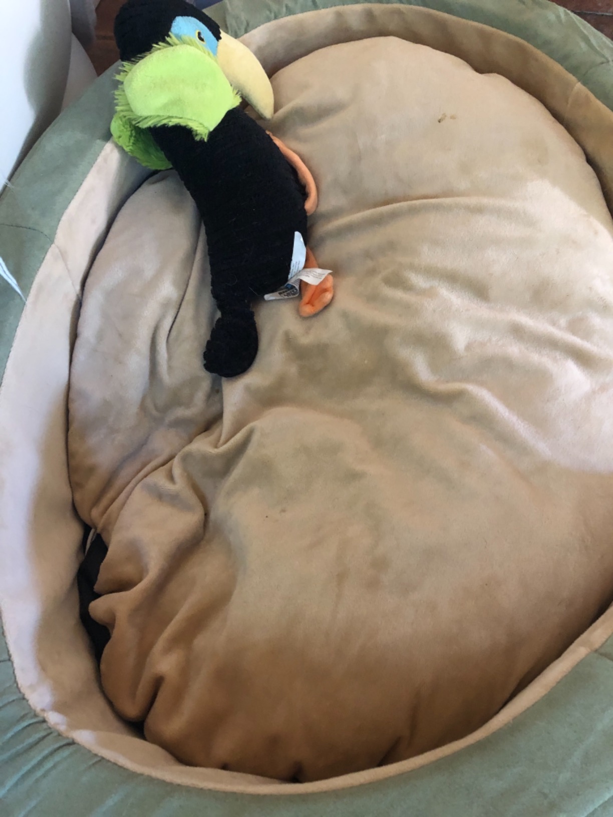 K&H Heated Dog Bed, Thermo-Snuggly Sleeper Indoor, Safety Listed, Medium 6W customer photo 1