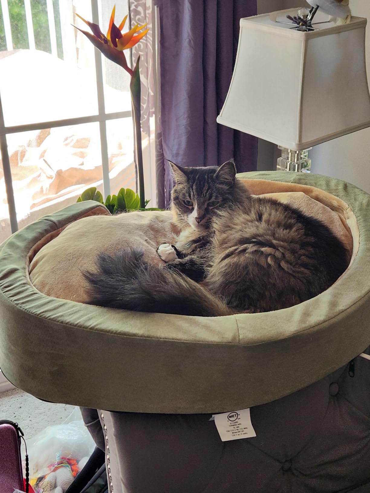 K&H Heated Dog Bed, Thermo-Snuggly Sleeper Indoor, Safety Listed, Medium 6W customer photo 2