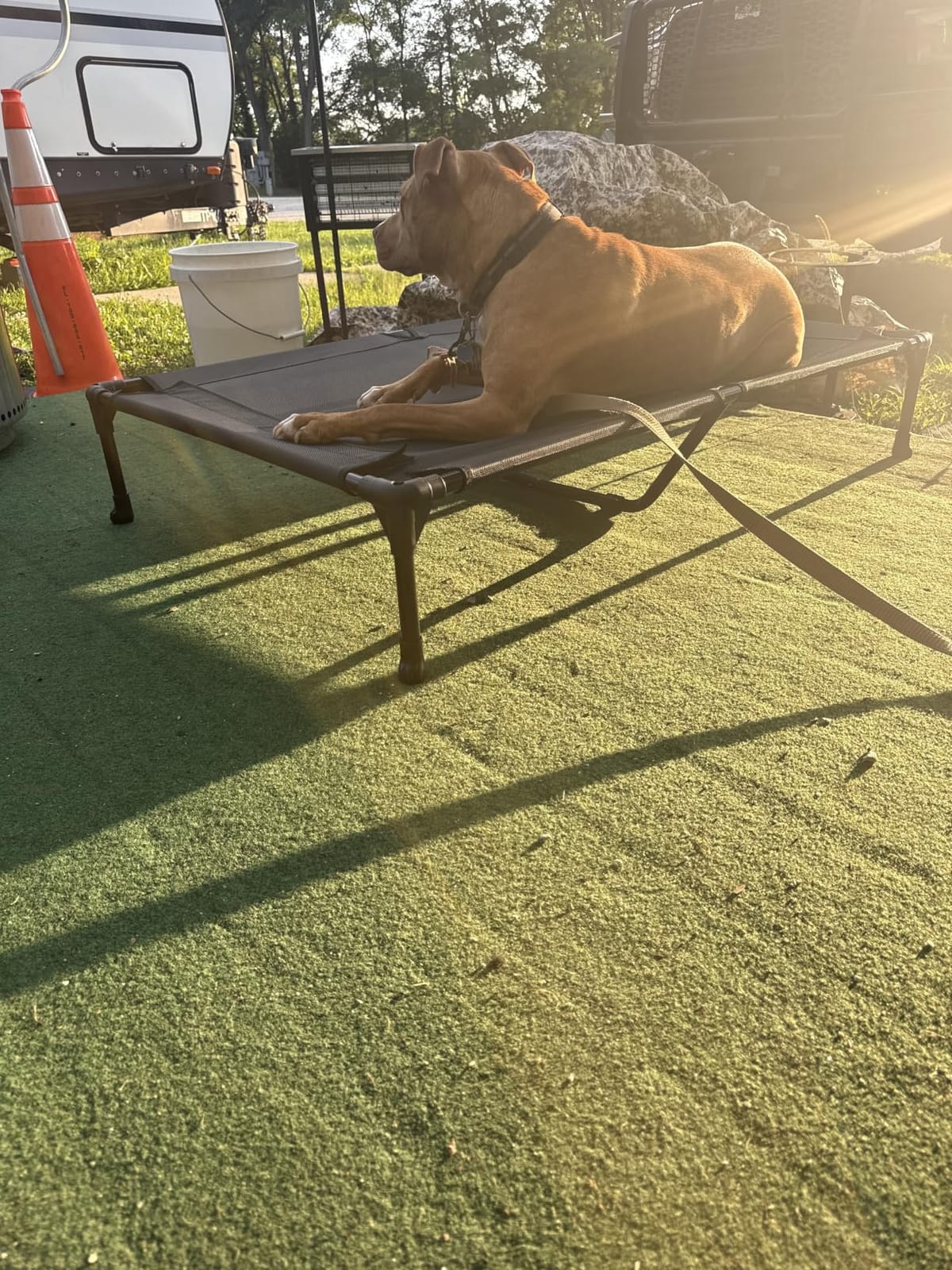 Veehoo Outdoor Elevated Dog Bed Large Sized Dogs, Cooling Raised Dog Cots customer photo 1
