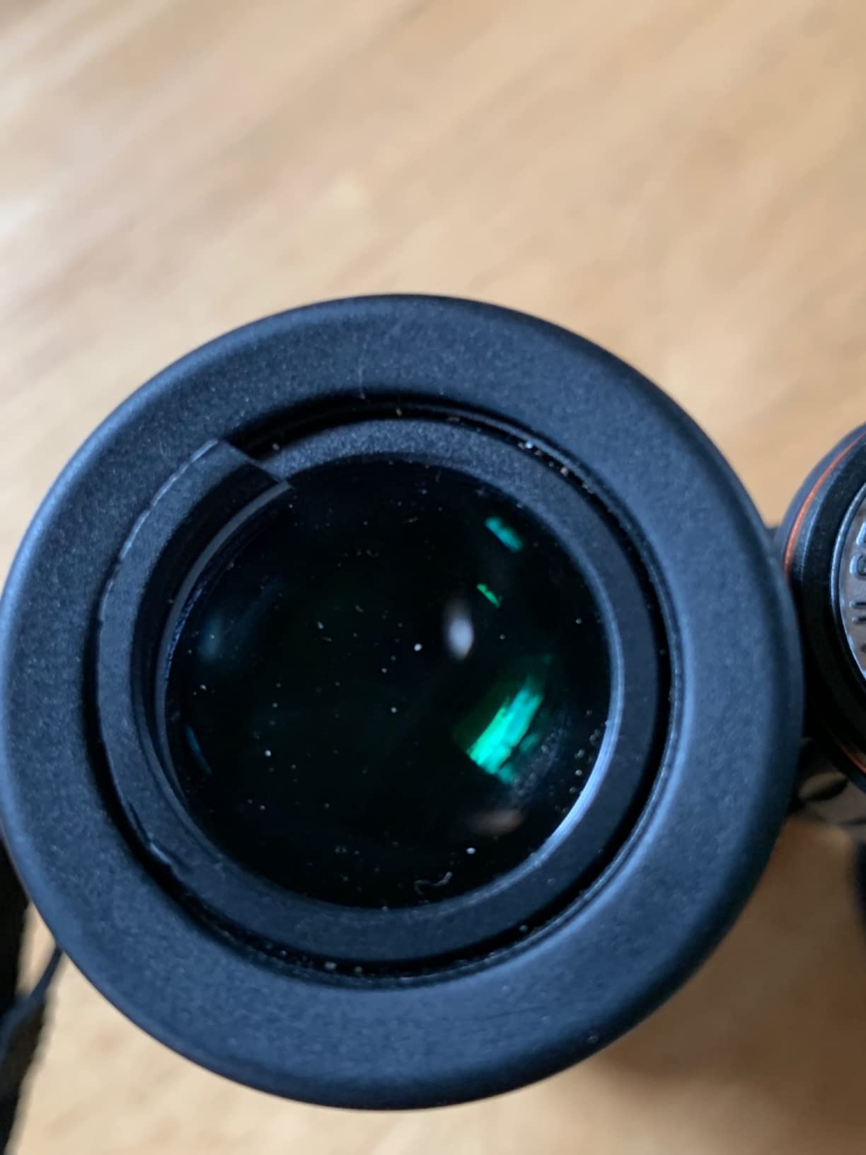 Celestron TrailSeeker ED 8x42 Binoculars for Birding & Nature – ED Glass customer photo 2