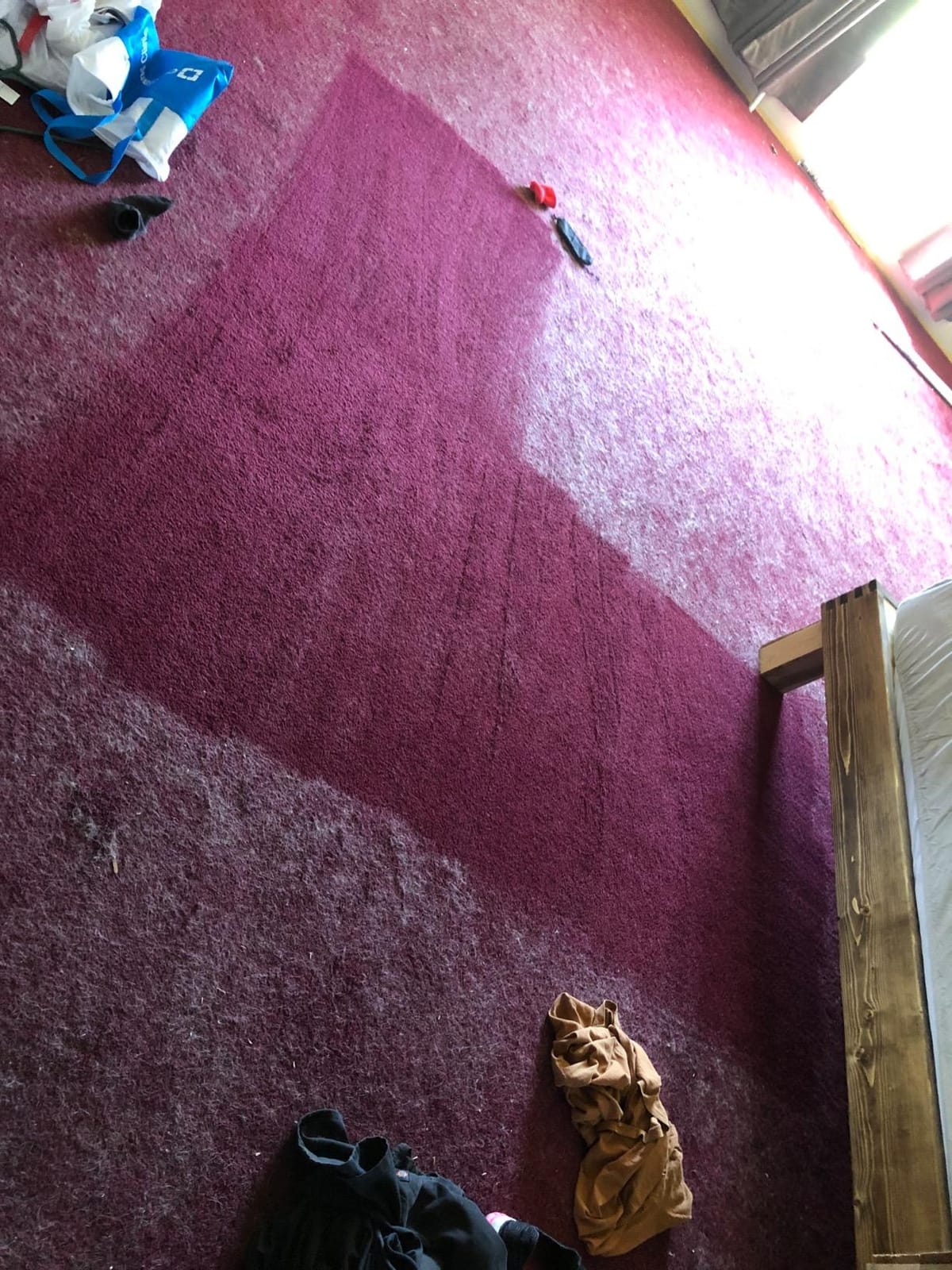 Dyson V11 Animal Cordless Vacuum Cleaner, Purple customer photo 1