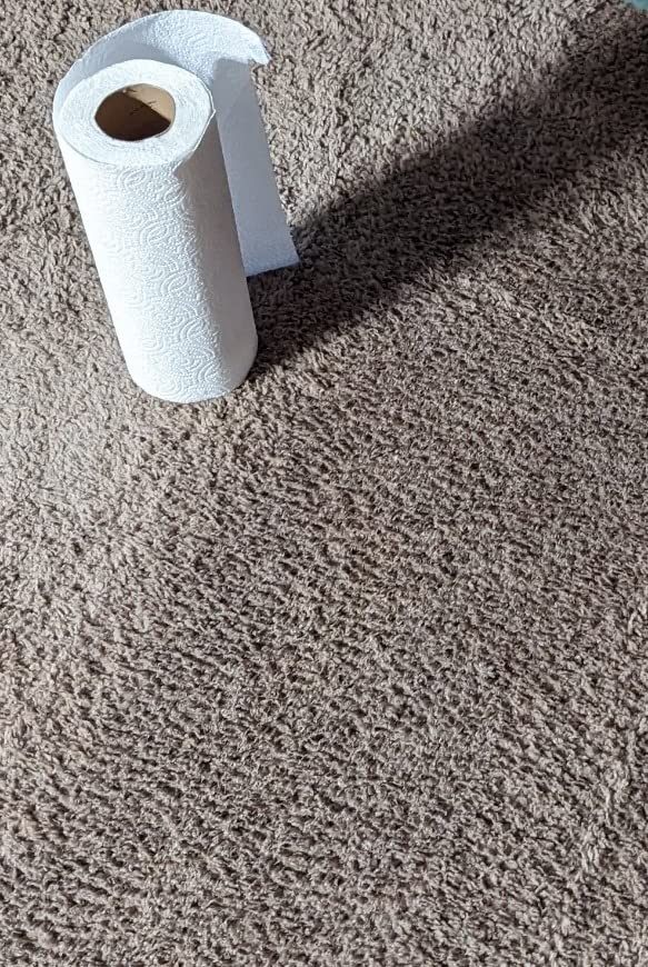 Bissell ProHeat 2X Revolution Pet Full Size Upright Carpet Cleaner, 1548F, Orange customer photo 2