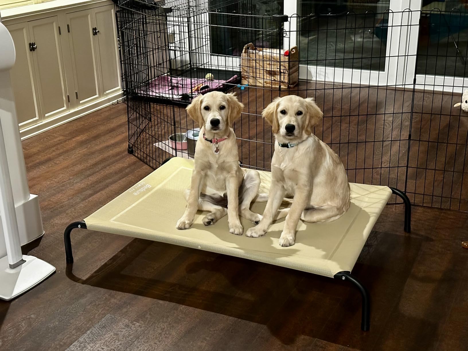 Bedsure Outdoor Elevated Cooling Dog Bed Large Sized Dog, 49in Grey customer photo 2