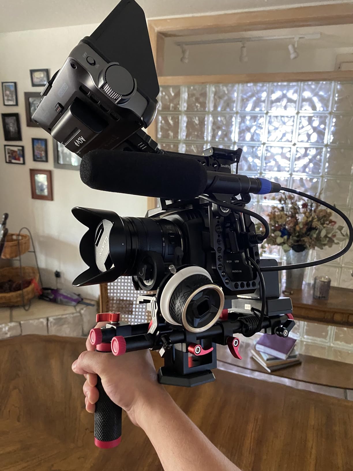 Panasonic Lumix G Vario 14-140mm Telephoto Zoom Lens with F3.5-5.6 II ASPH, Mirrorless Micro Four Thirds Mount and Power O.I.S. - H-FSA14140 (Upgraded USA Black) customer photo 1