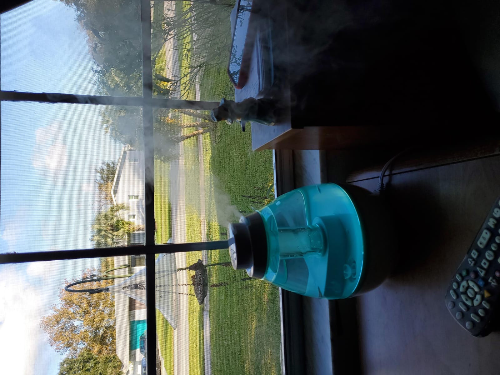 Safety 1st 360 Degree Cool Mist Ultrasonic Humidifier, Seafoam customer photo 1