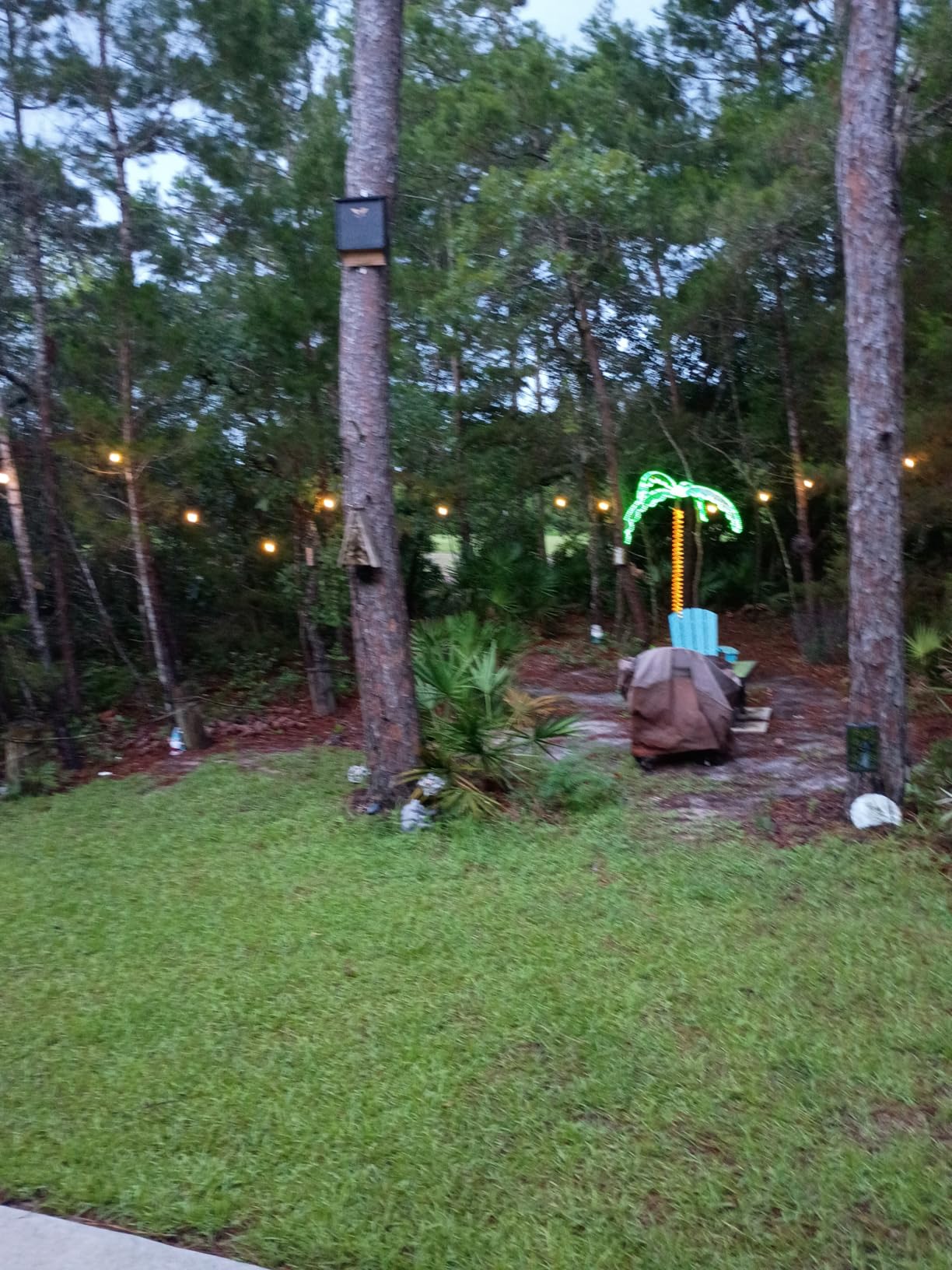 addlon LED Outdoor String Lights 48FT Edison Vintage Weatherproof ETL customer photo 1