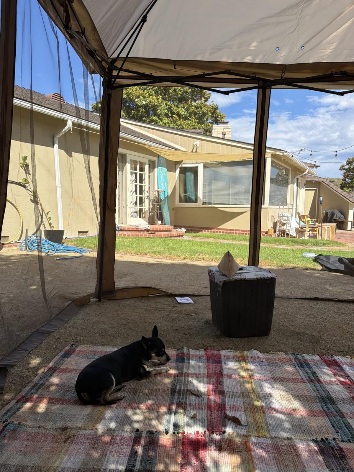 COOS BAY 11x11 Pop Up Gazebo with Netting, Canopy Tent, Beige customer photo 1