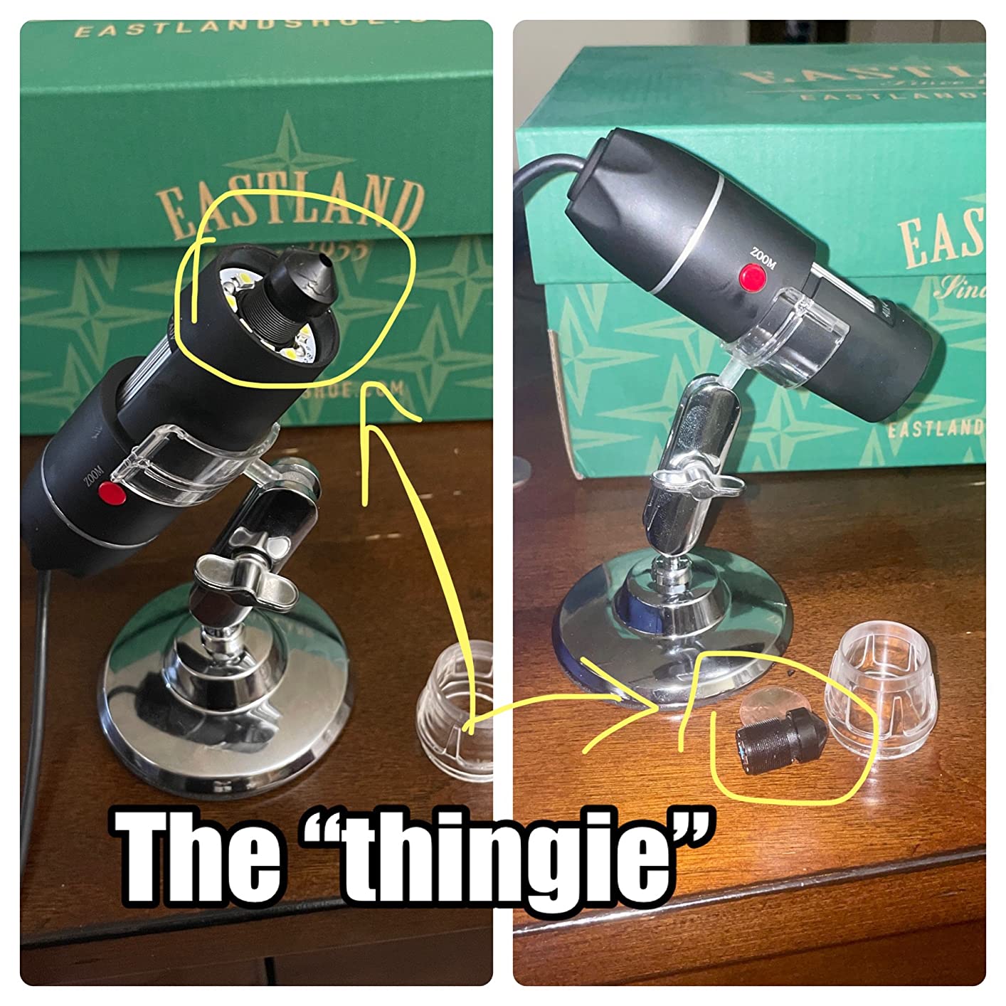USB Digital Microscope 40X to 1000X, 8 LED Magnification Endoscope Camera with Carrying Case & Metal Stand, Compatible for Android Windows 7 8 10 11 Linux Mac (Not for iPhone/iPad) customer photo 2