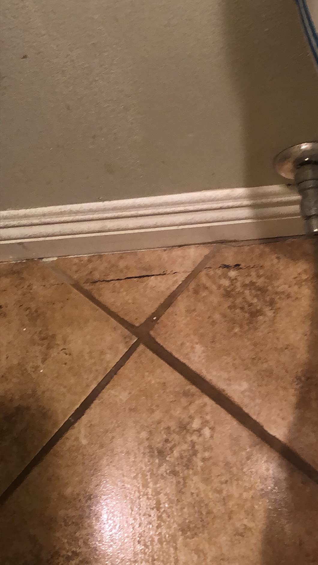 Bissell PowerFresh Vac & Steam All-in-One Vacuum and Steam Mop, 2747A customer photo 1