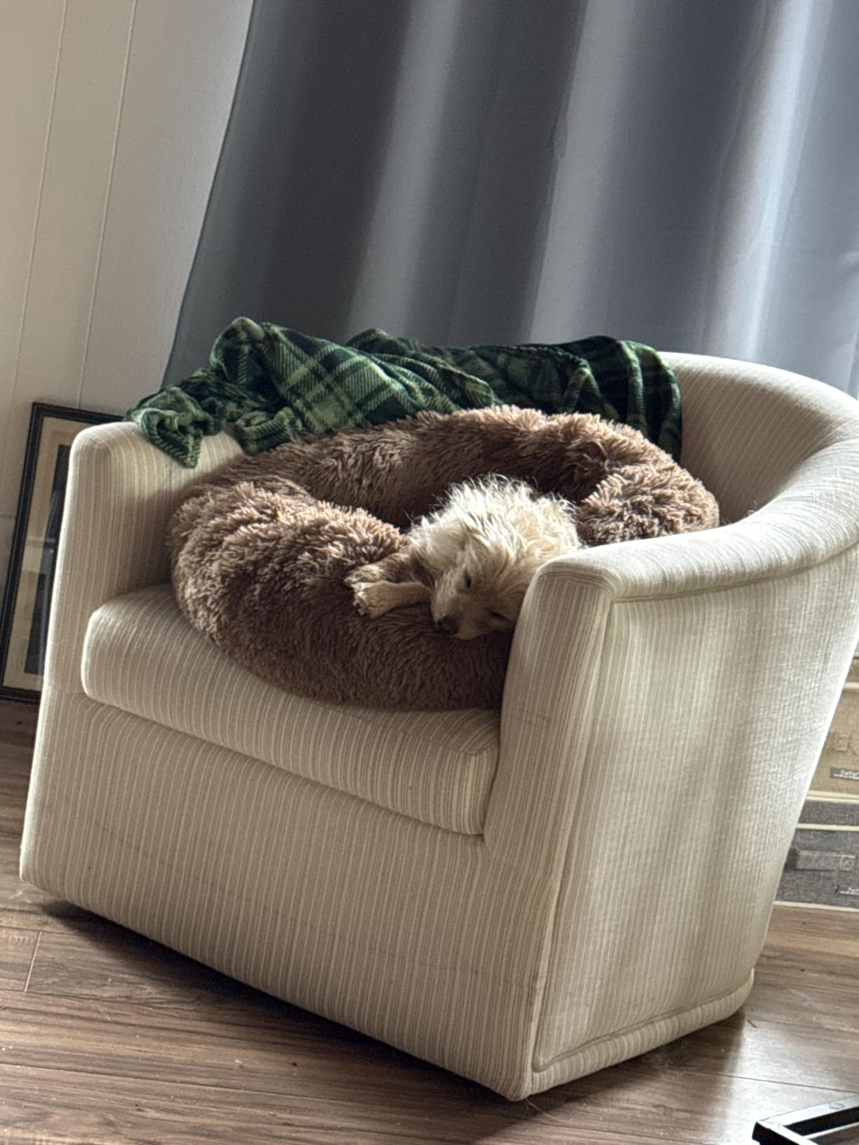 MIXJOY Orthopedic Dog Bed Comfortable Donut Cuddler Round Pet Beds Ultra Soft Washable Dog and Cat Cushion Bed (20''/23''/30'') (30'', Brown) customer photo 1