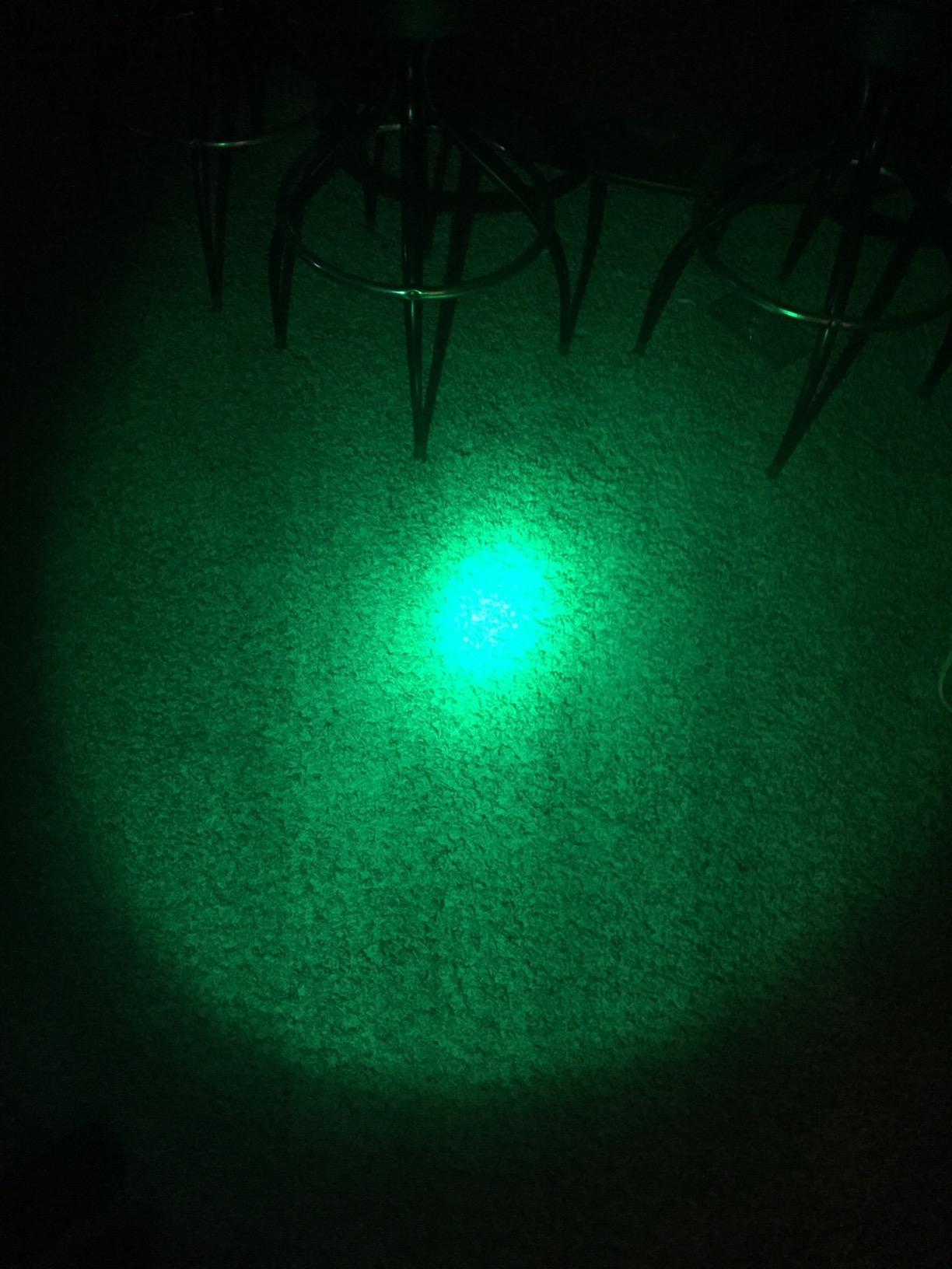 Zoomable Green Light Flashlight, Tactical Hog Coyote Hunting customer photo 2