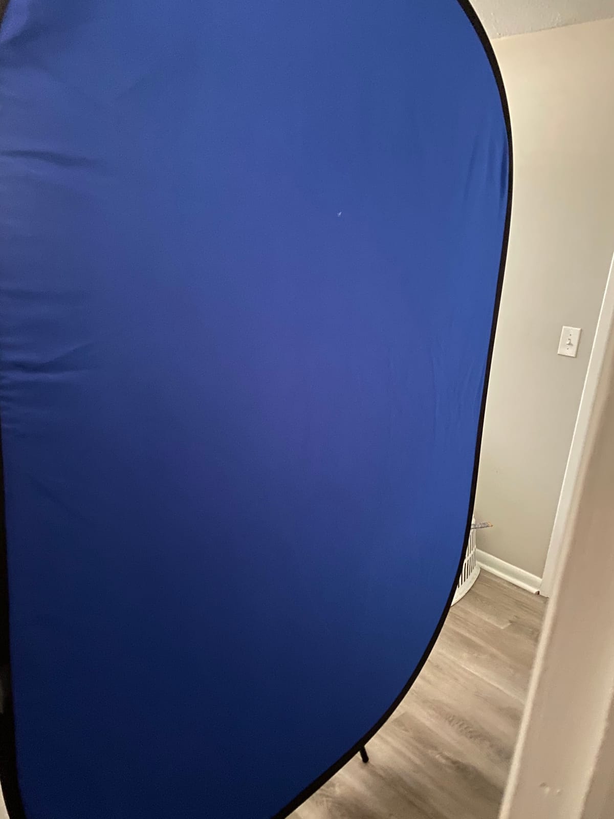 NEEWER 5x7ft/1.5x2m Chromakey Foldable Backdrop with Stand 8.5ft/2.6m | 2 in 1 Reversible Blue Green Background Panel, for Photography Studio, Live Streaming, Video Calls, Games customer photo 2