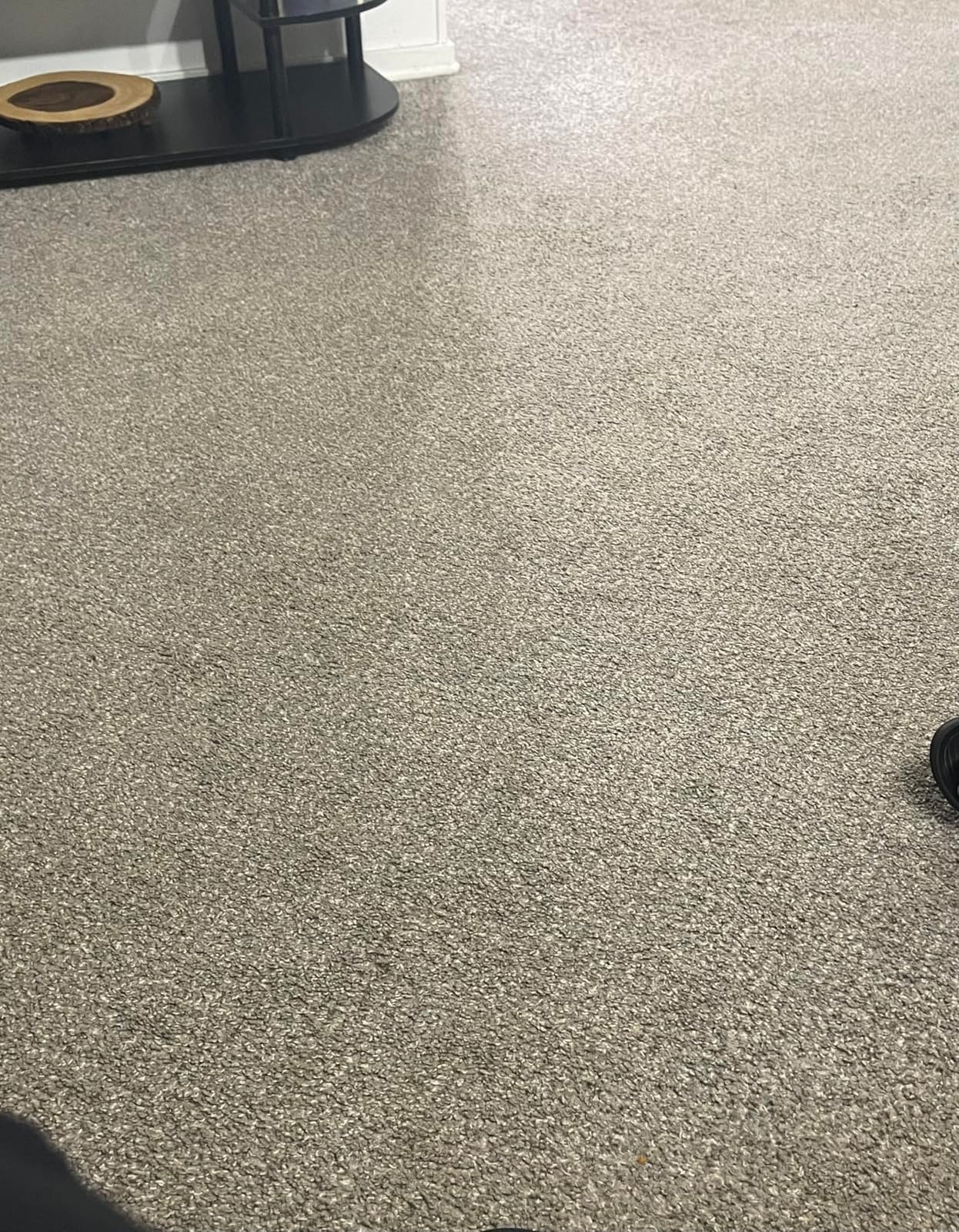 Rug Doctor Mighty Pro X3 Commercial Carpet Cleaner with Oxy Cleaner Pack customer photo 2