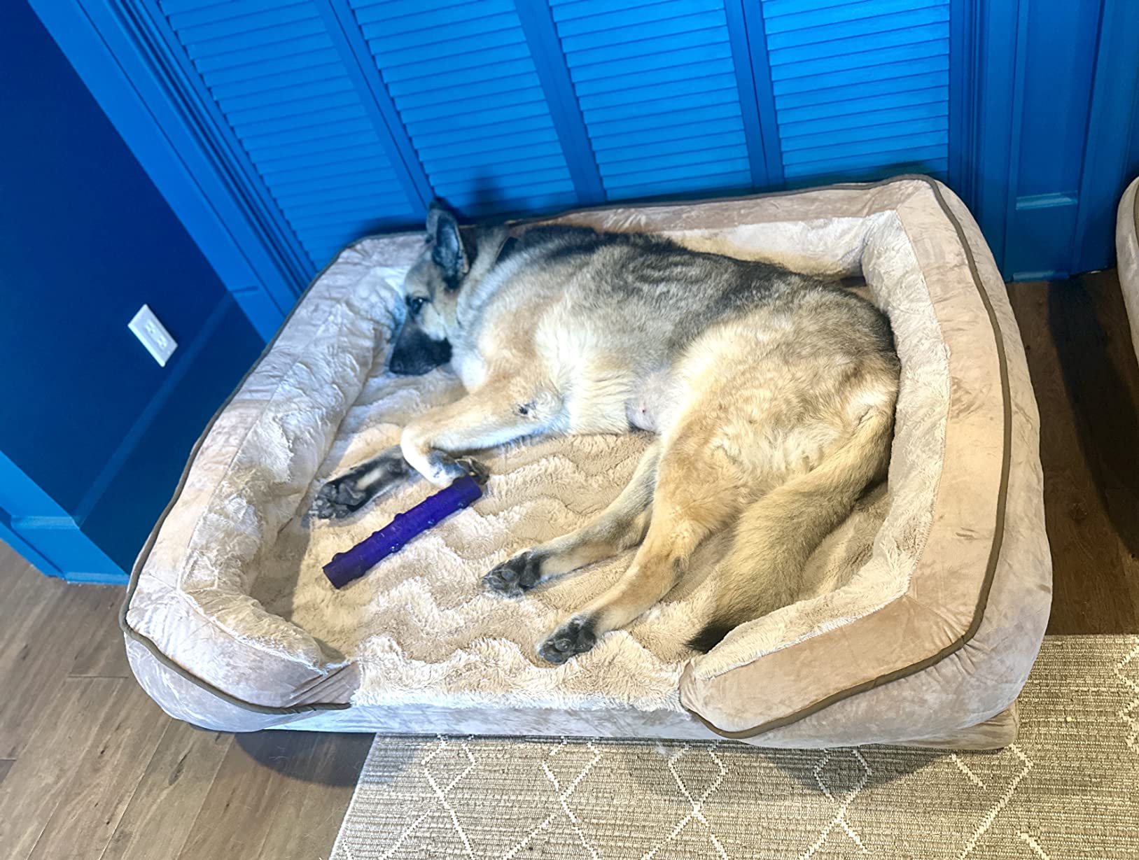 FurHaven Cooling Gel Dog Bed for Large Dogs, Perfect Comfort Sofa Bed with Cool Gel-Top Foam with a Solid Orthopedic Foam Base for Joint Support, Washable Cover, Jumbo XL, Plush & Velvet, Granite Gray customer photo 2