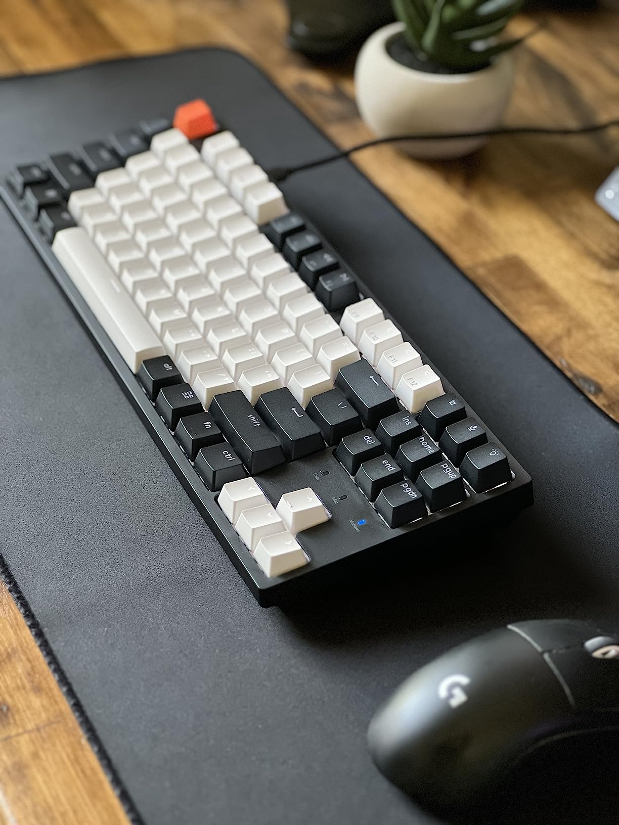 Keychron C1 Wired TKL Hot-Swappable Mechanical Keyboard, White Backlight customer photo 1