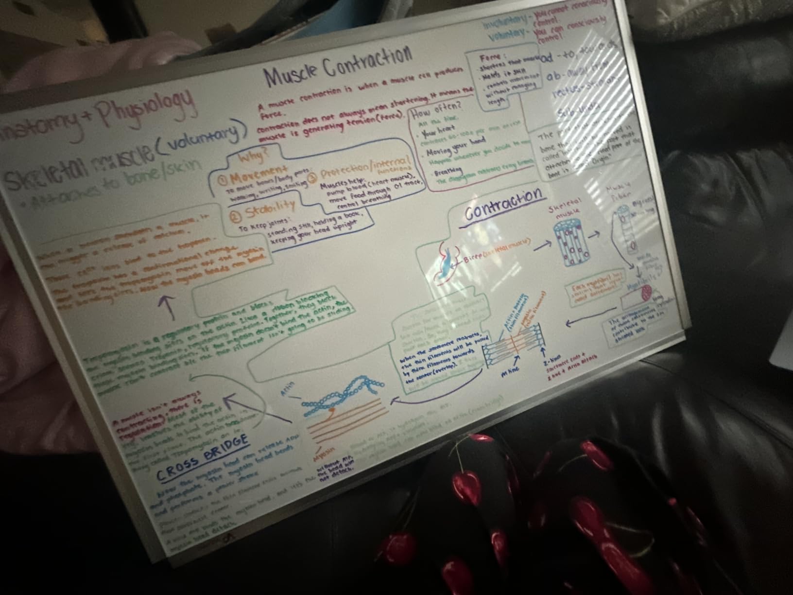 VIZ-PRO Dry Erase Board/Magnetic White Board, 48 X 32 Inches, Silver Aluminium Frame customer photo 2