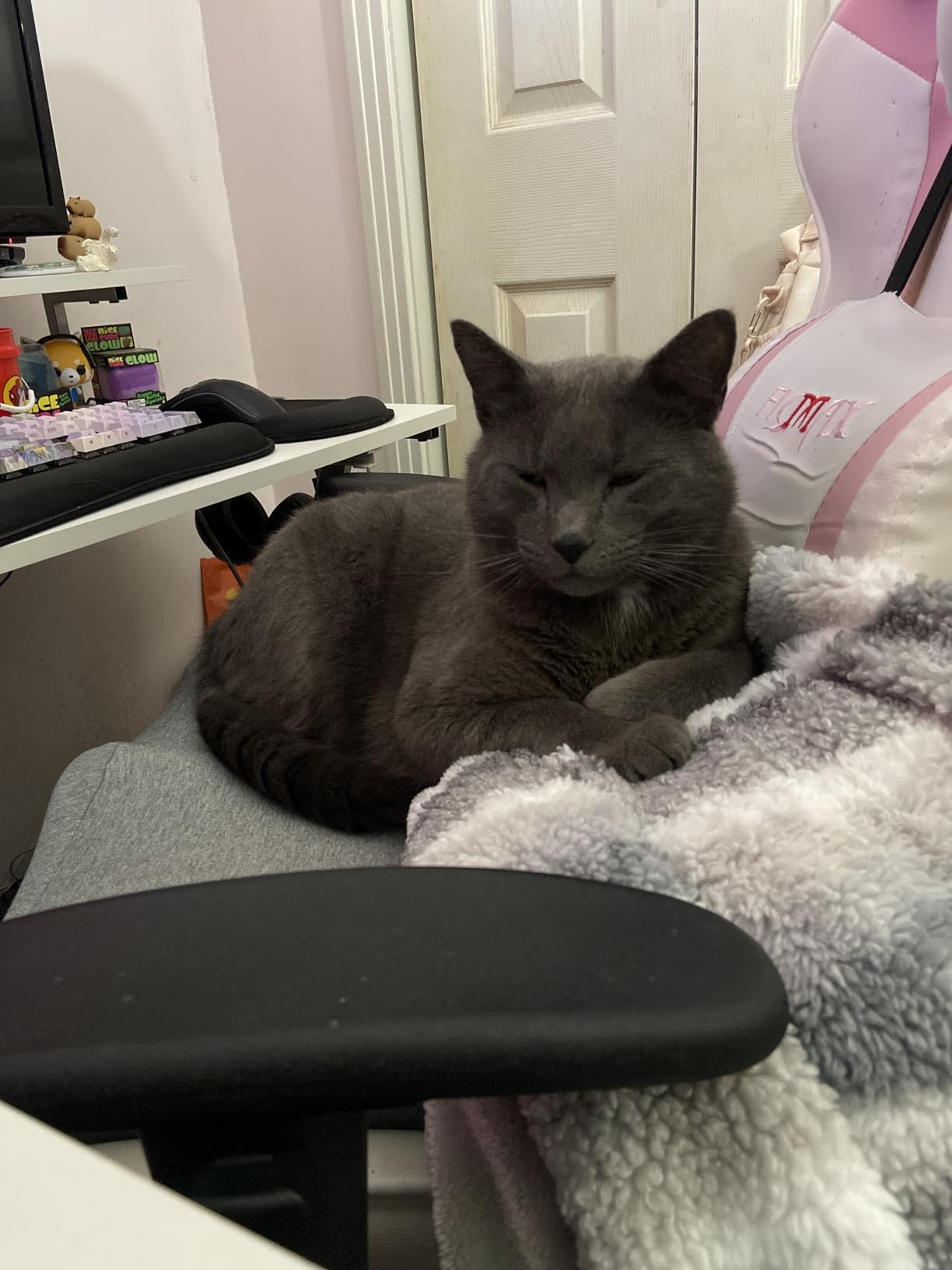 Cushion Lab Patented Pressure Relief Seat Cushion for Long Sitting Hours on Office & Home Chair - Extra-Dense Memory Foam for Soft Support customer photo 2