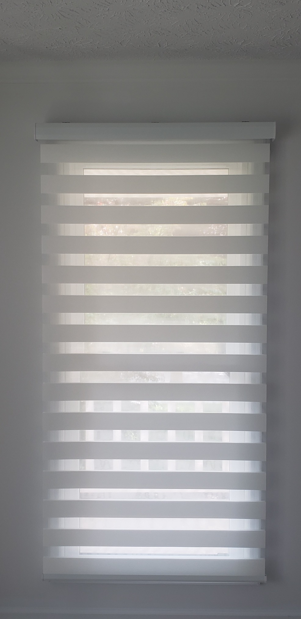 Graywind Motorized Zebra Sheer Blinds Compatible with Alexa Horizontal Light Filtering Window Shades Remote Roller Blinds with Valance for Smart Home and Office, Customized Size (Luxury Silver White) customer photo 1