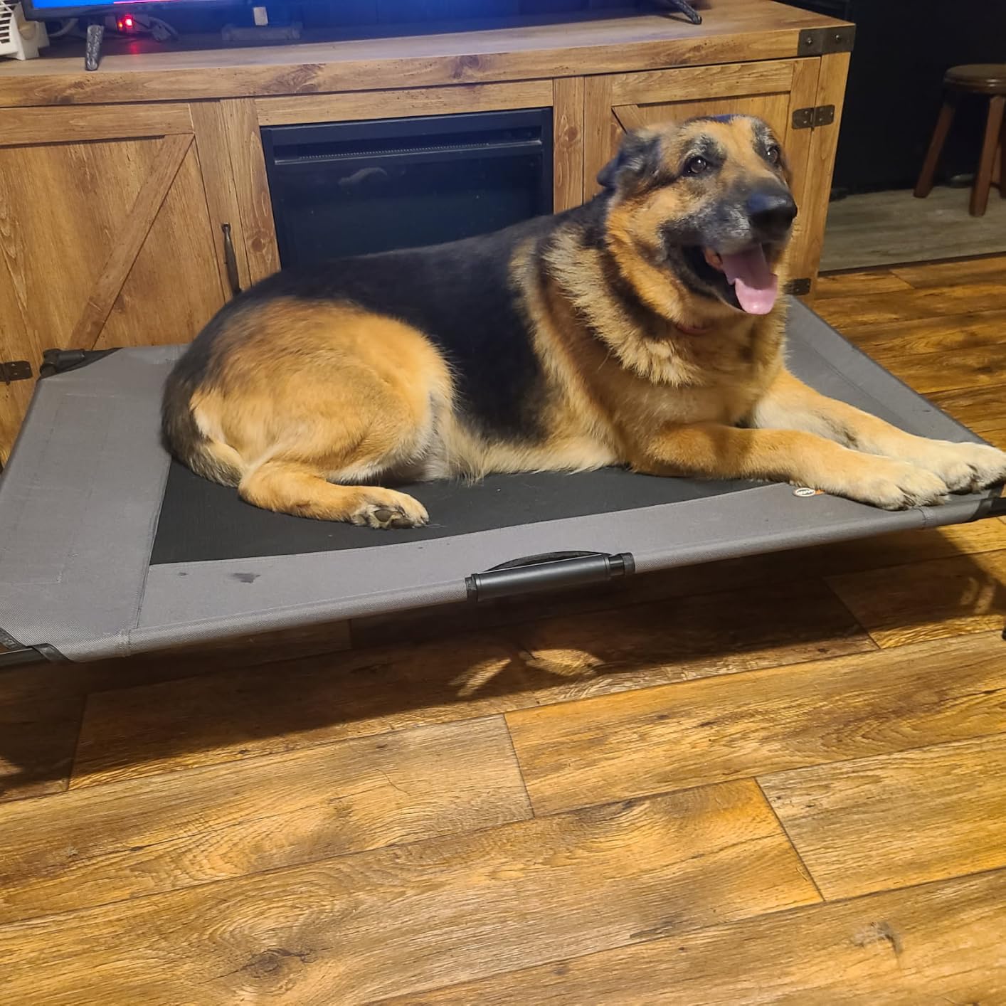 K&H Outdoor Elevated Dog Bed for Large & Extra-Large Pets, Tan, XL 50x32in customer photo 2