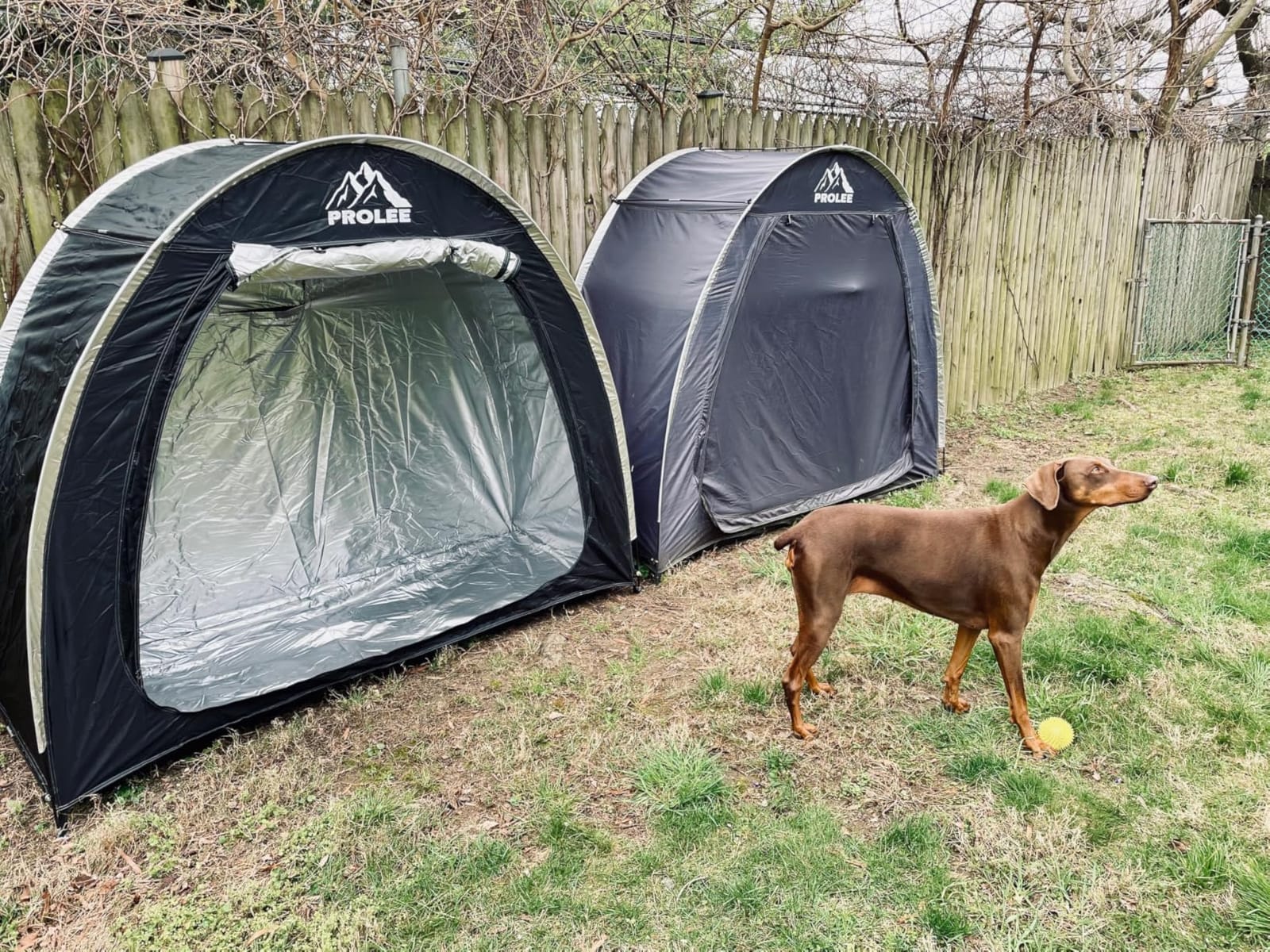 PROLEE Bike Shed 6.6FT, Waterproof Oxford Fabric Storage Tent for 2 Bikes, Outdoor Storage with Window Design, Black customer photo 2