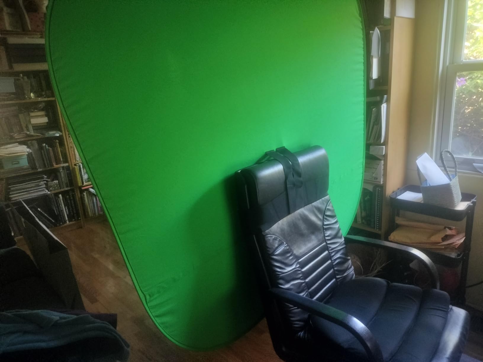 Portable Green Screen Chair, 59 in Greenscreen Backdrop with Stand Double Sided Foldable Green Background, Chroma Key, for Video Chats and Meetings, Photography, Photo Zoom, Streaming Games customer photo 1