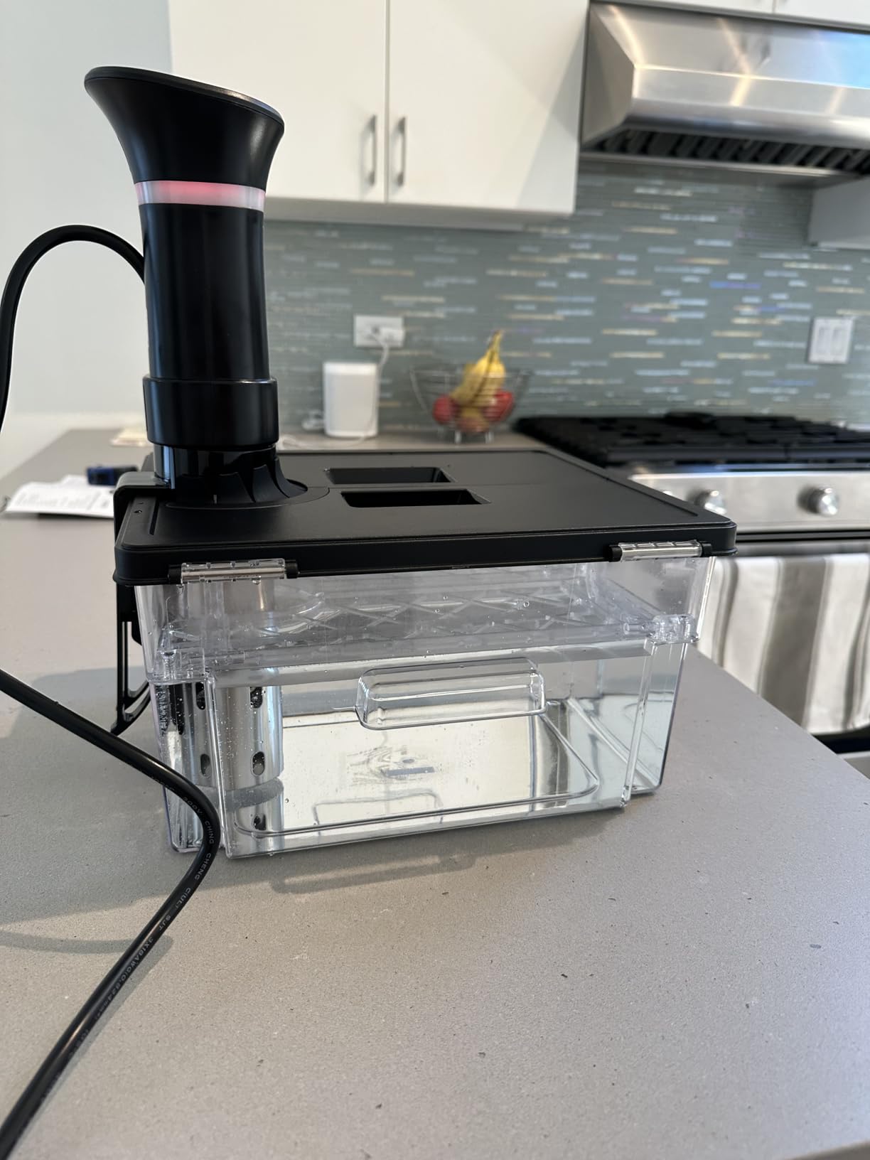 Sous Vide Cooker Machine 1000W Immersion Circulator with Recipe customer photo 1