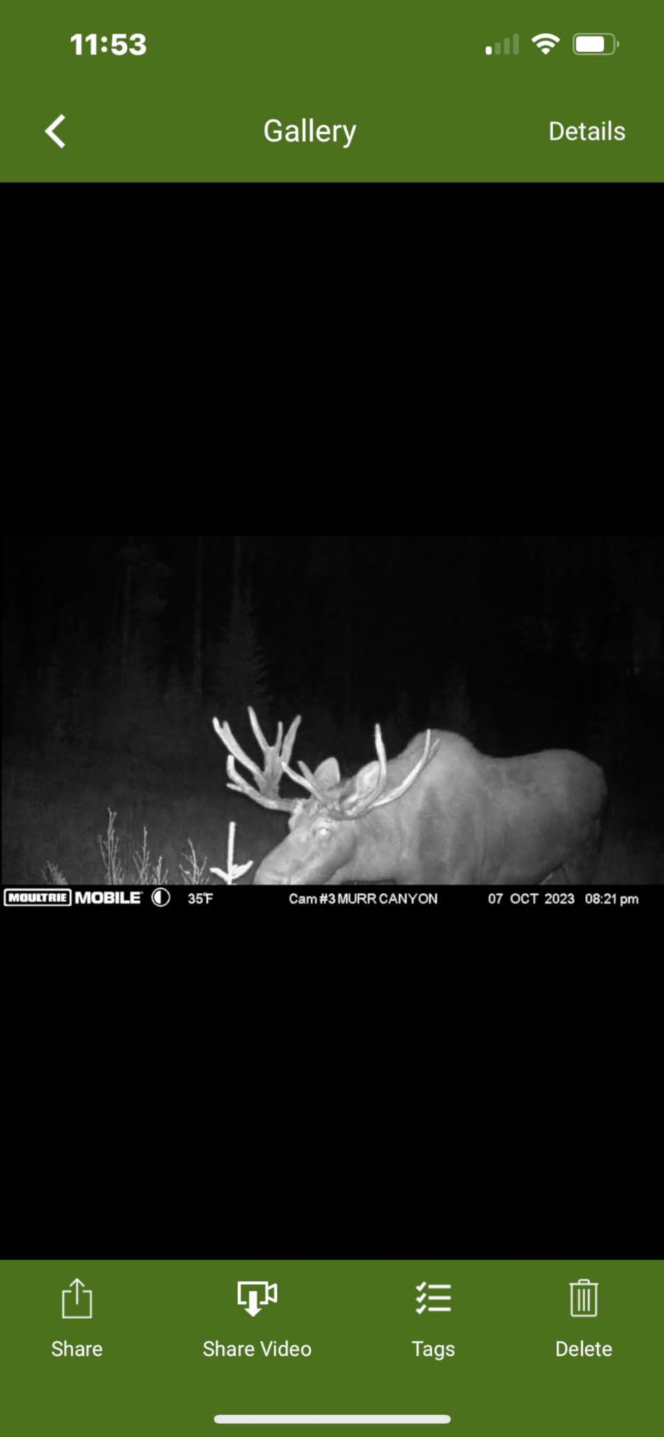 Moultrie Delta Base Cellular Trail Camera - 24MP Resolution Photos & Videos with Sound | .75s Trigger Speed & 36 invisible IR LEDs | Game Cam for Hunting with App Control | Verizon Nationwide customer photo 2