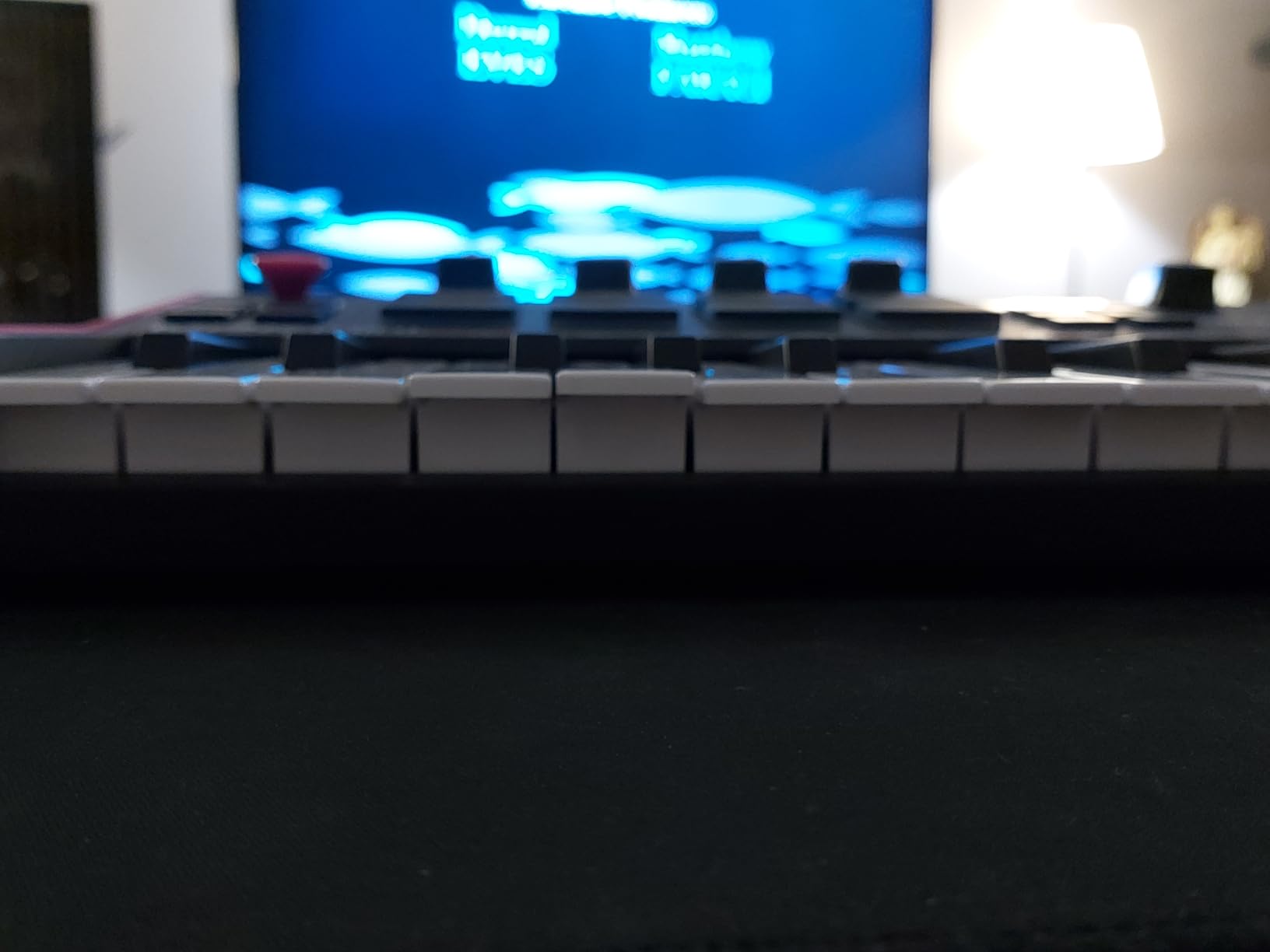 Akai Professional MPK Mini Play MK3 25-Key USB MIDI Keyboard Controller customer photo 2