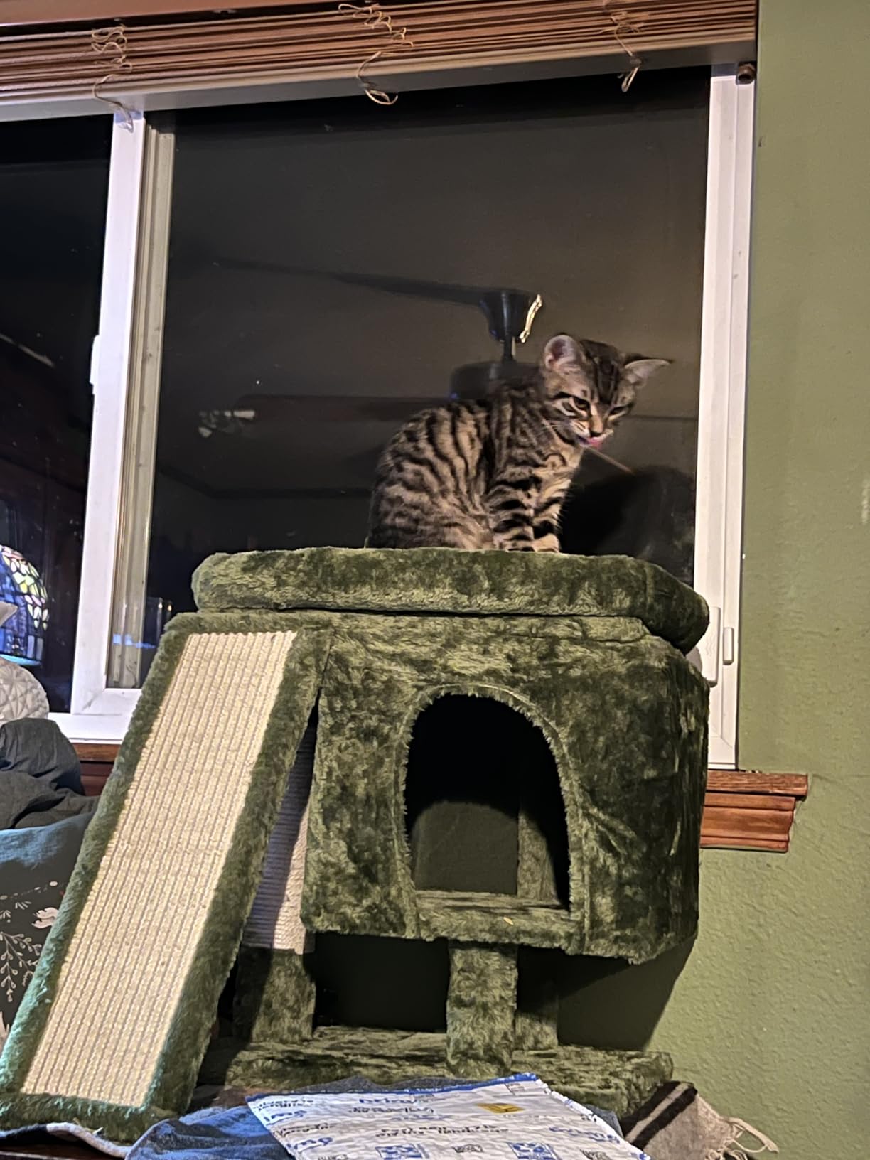 SYANDLVY Small Cat Tree for Indoor Cats Large Adult, Activity Tower with Scratching Post, Modern House with Padded Perch, Kittens Condo with Board, Cat Cave (Smoky Grey) customer photo 1