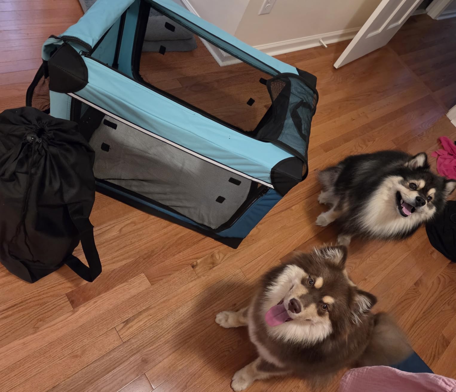 Ownpets Collapsible Dog Crate, 42 inch Portable Travel Dog Crate for Large Dogs, 4-Door Foldable Pet Kennel with Durable Mesh Windows & Soft Mat customer photo 1