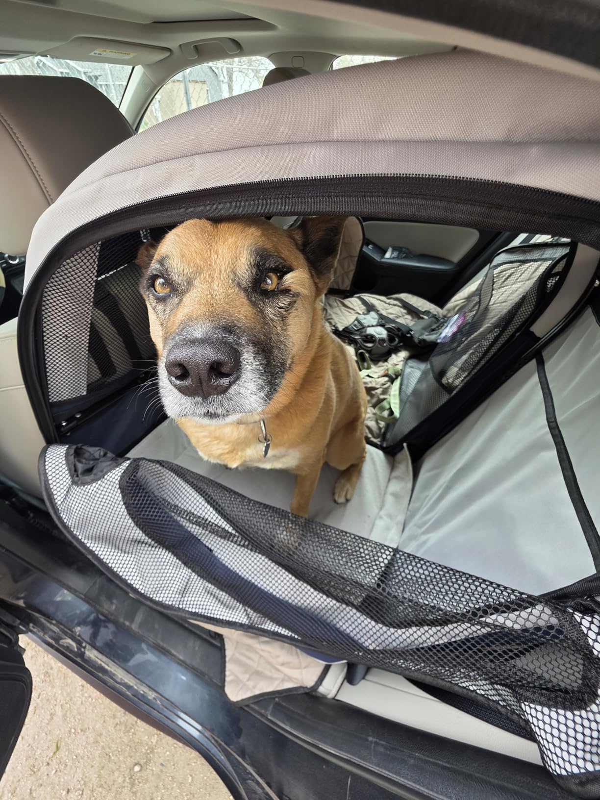 PetSafe Happy Ride Collapsible Travel Dog Crate customer photo 2
