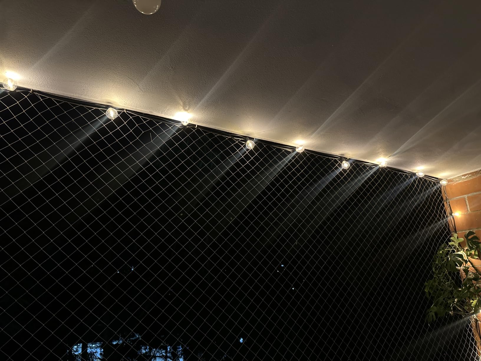 Outdoor String Lights, 55(50+5) FT 25 Bulbs IP65 Waterproof Patio Lights customer photo 1