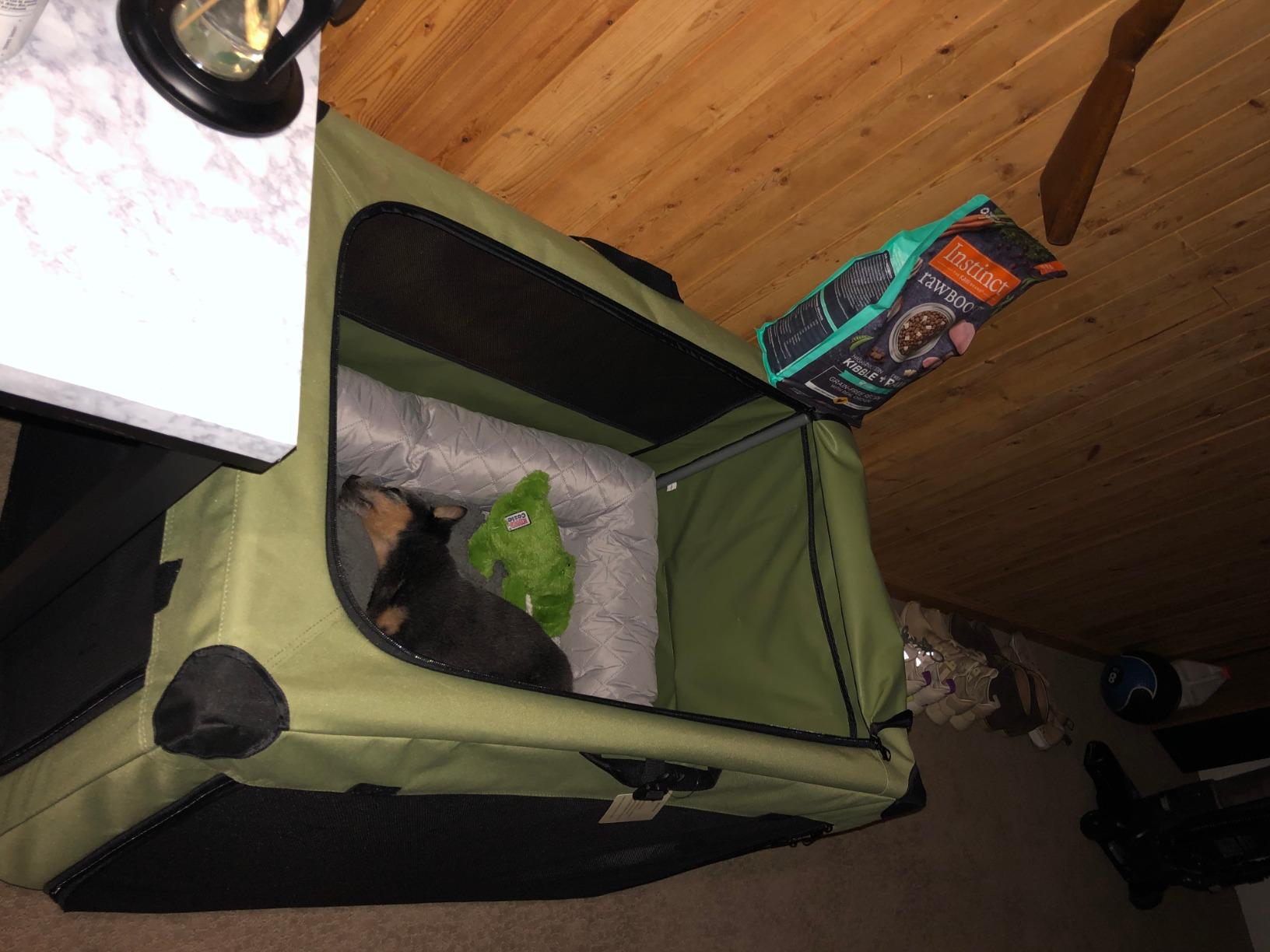 PETSFIT 40