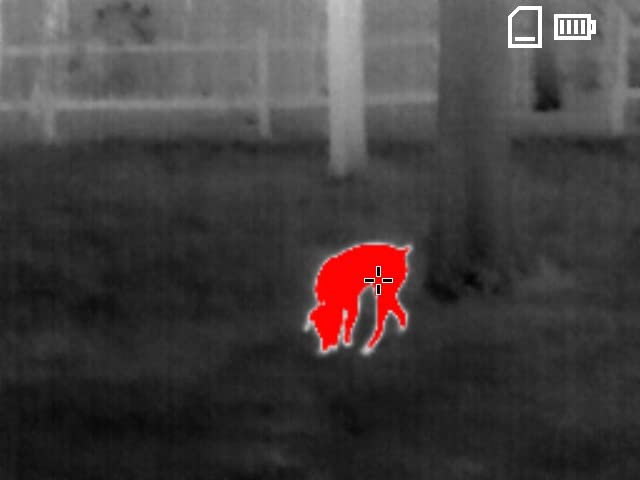 Teslong TTS260 Thermal Monocular 256 x 192, Super Resolution 512 x 384 customer photo 1