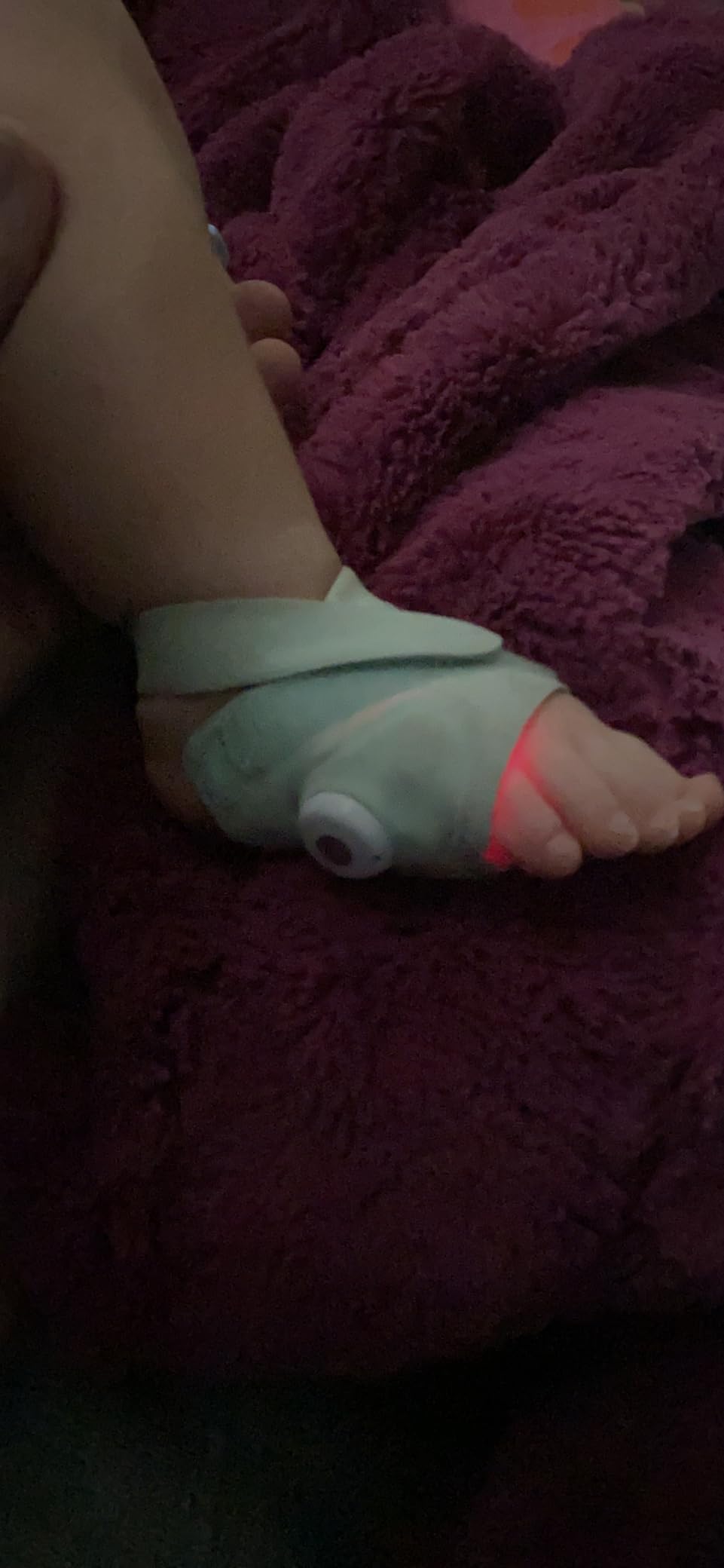 Owlet® Dream Duo (Gen 1) Smart Baby Monitor: FDA-Cleared Dream Sock® Plus Owlet Cam 2 - Tracks & Notifies for Pulse Rate & Oxygen While Viewing Baby in 1080p HD WiFi Video customer photo 2