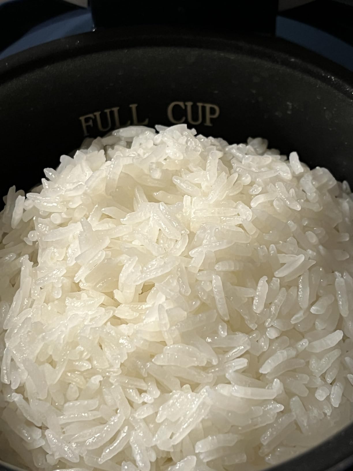 Bear Mini Rice Cooker, 2-Cup Uncooked, Nonstick, Keep Warm, BPA Free, Blue customer photo 2