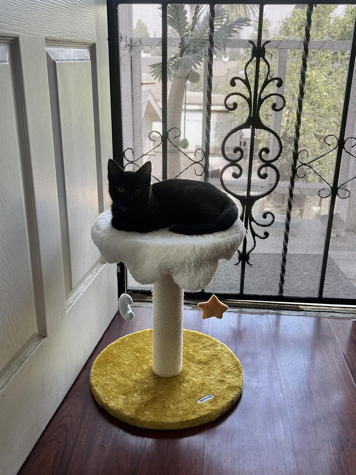 Happi N Pets Cloud Cat Tree, Cat Scratching Post with Soft Bed for Kitten customer photo 2