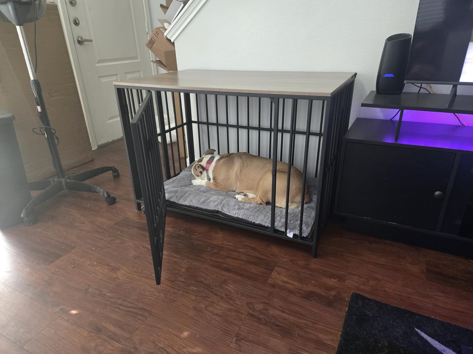 Dog Crate Pad Washable Dog Bed for Crate Medium Cozy Mat 36-Inch Gray customer photo 1